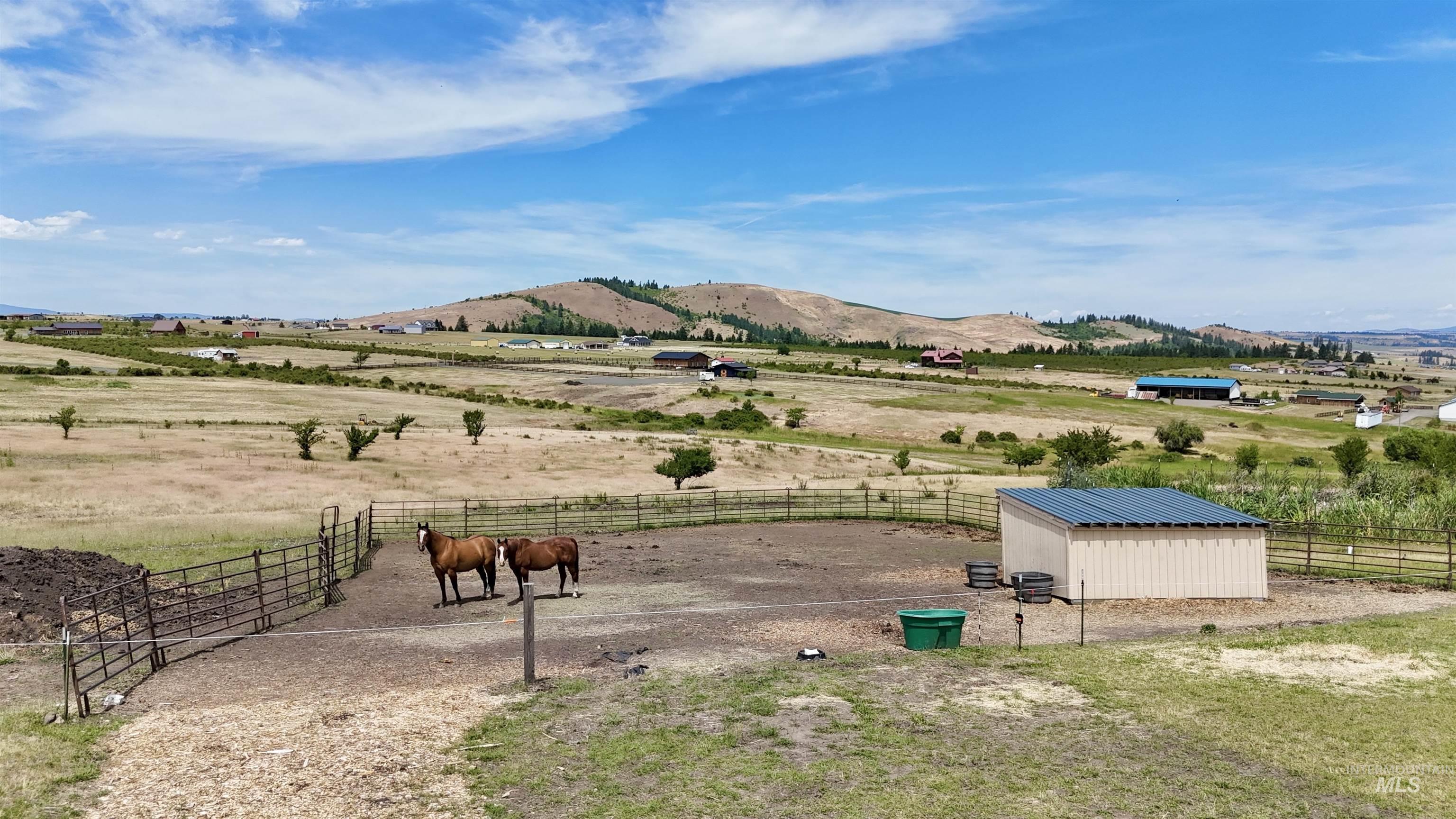 176 Golden Hills Dr., Grangeville, Idaho 83530, 2 Bedrooms, 1 Bathroom, Residential For Sale, Price $585,000, 98991500
