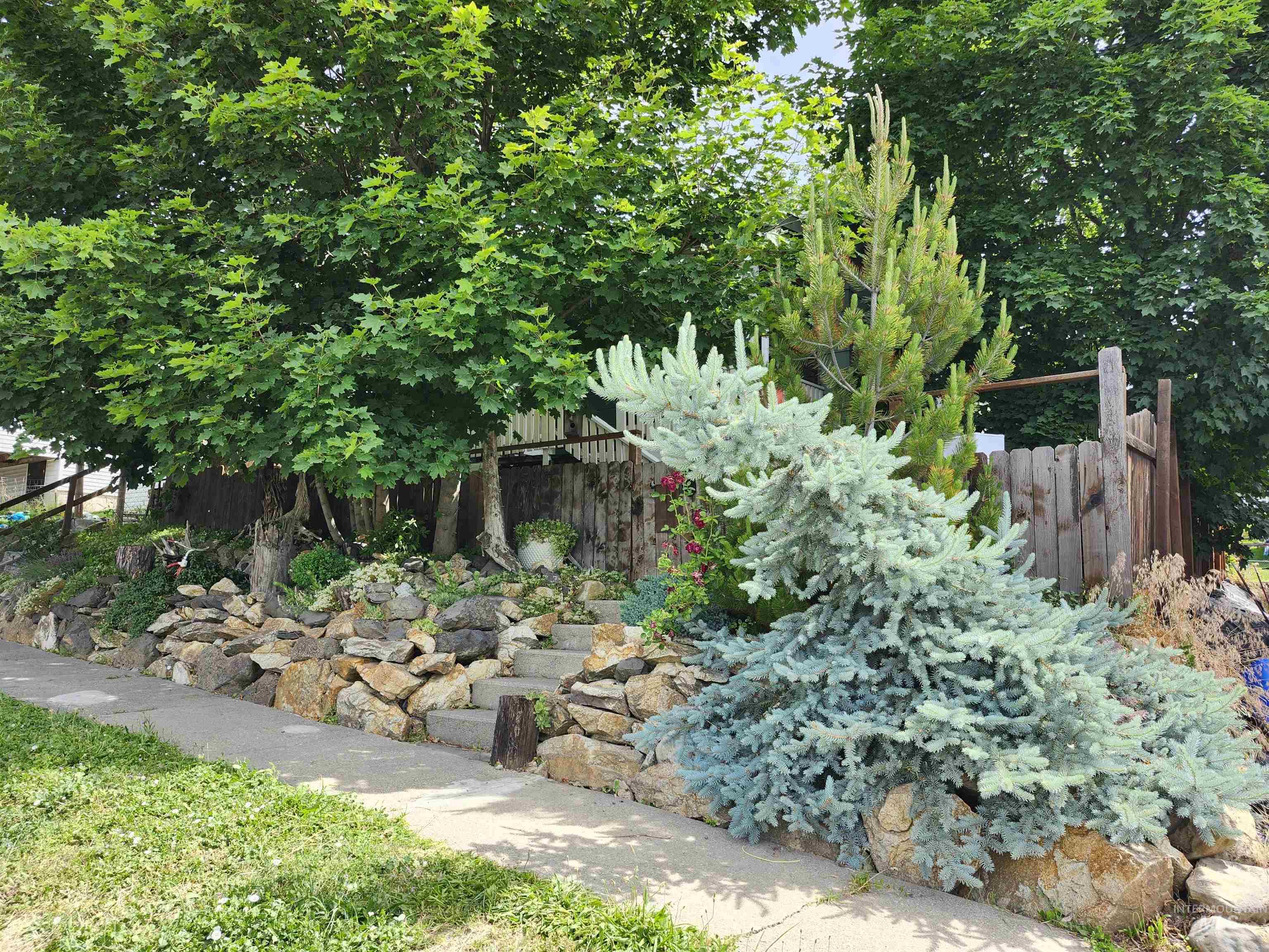 825 Larch Street, Potlatch, Idaho 83855, 3 Bedrooms, 1.5 Bathrooms, Residential For Sale, Price $258,000, 98991502