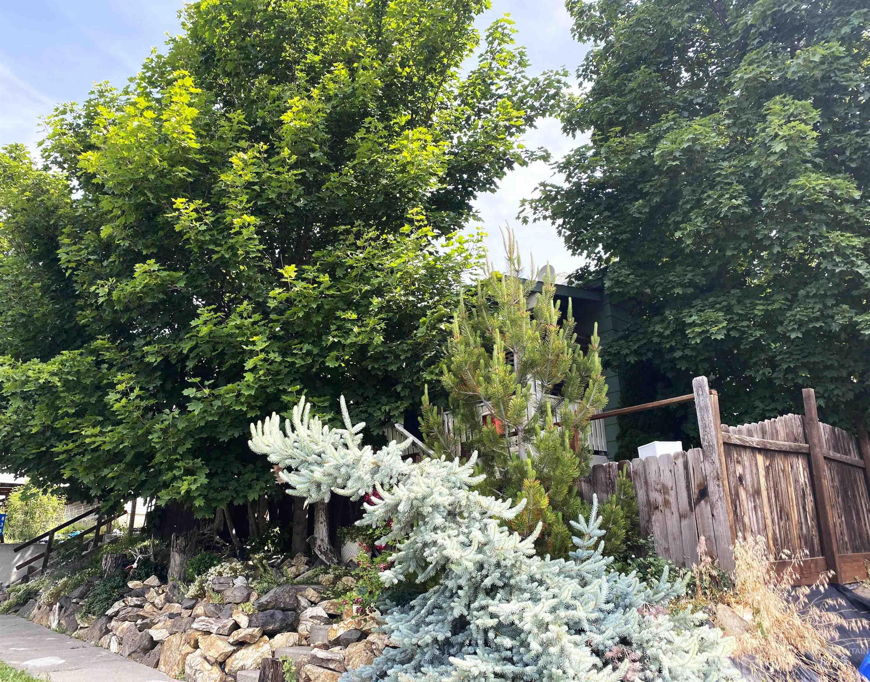 825 Larch Street, Potlatch, Idaho 83855, 3 Bedrooms, 1.5 Bathrooms, Residential For Sale, Price $258,000, 98991502