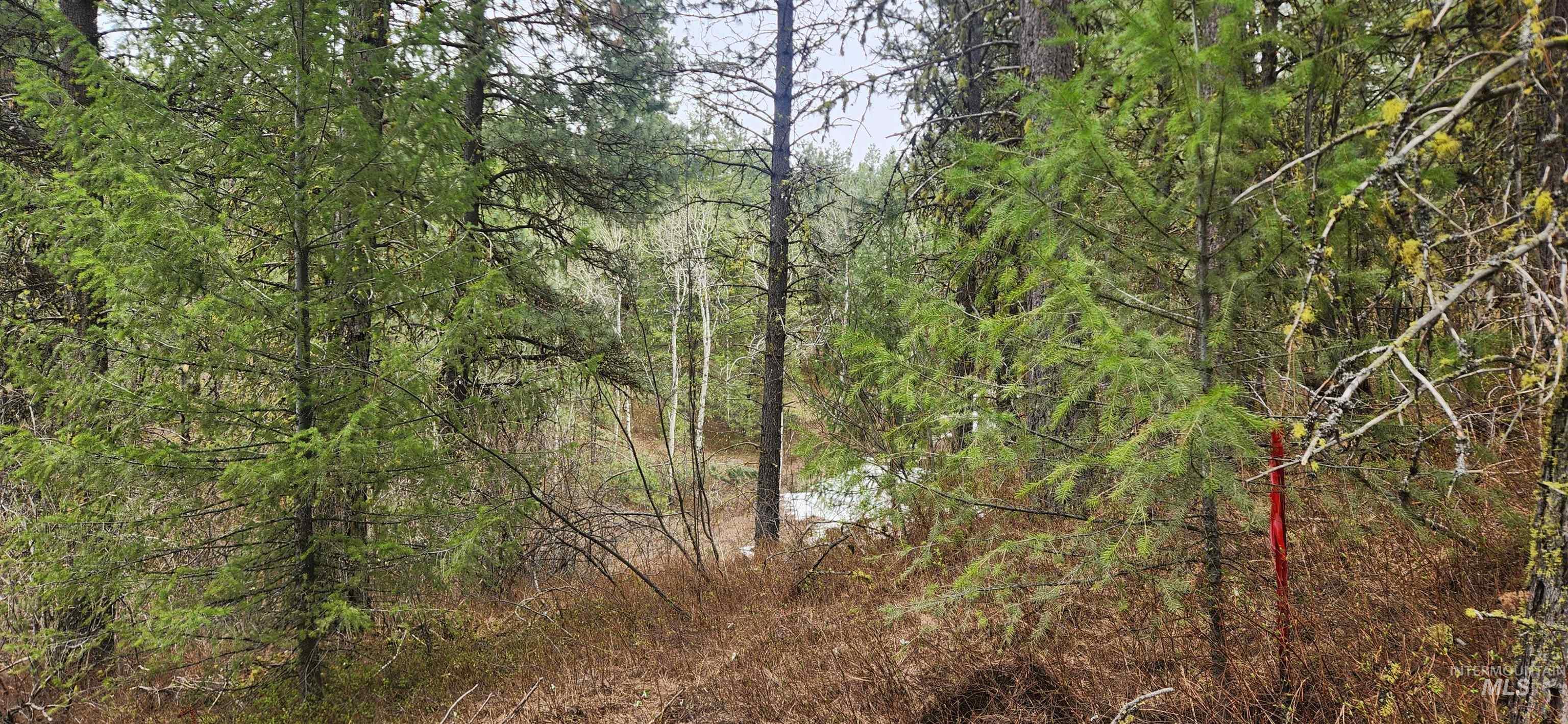 TBD Outlaw Trail, Banks, Idaho 83602, Land For Sale, Price $170,000,MLS 98991503