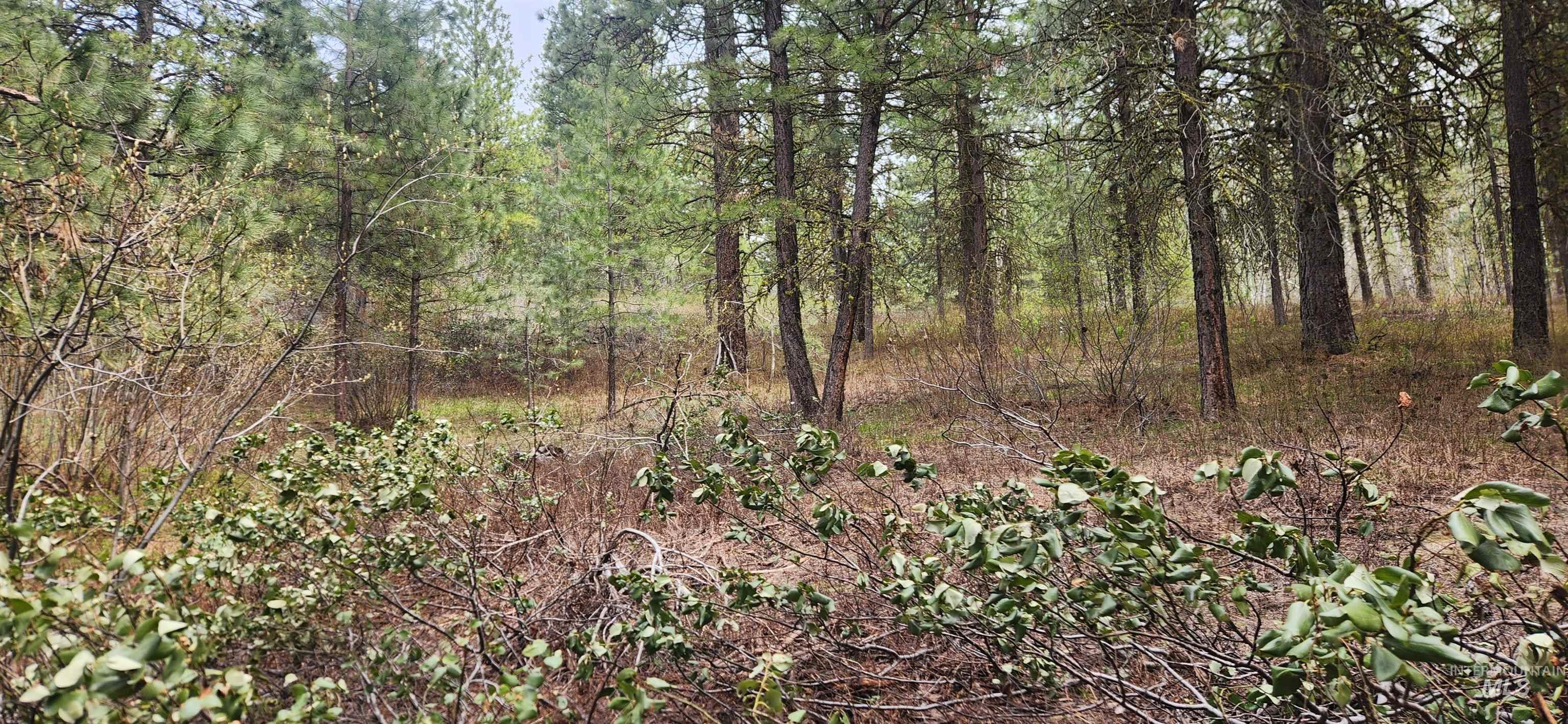 TBD Outlaw Trail, Banks, Idaho 83602, Land For Sale, Price $170,000,MLS 98991503