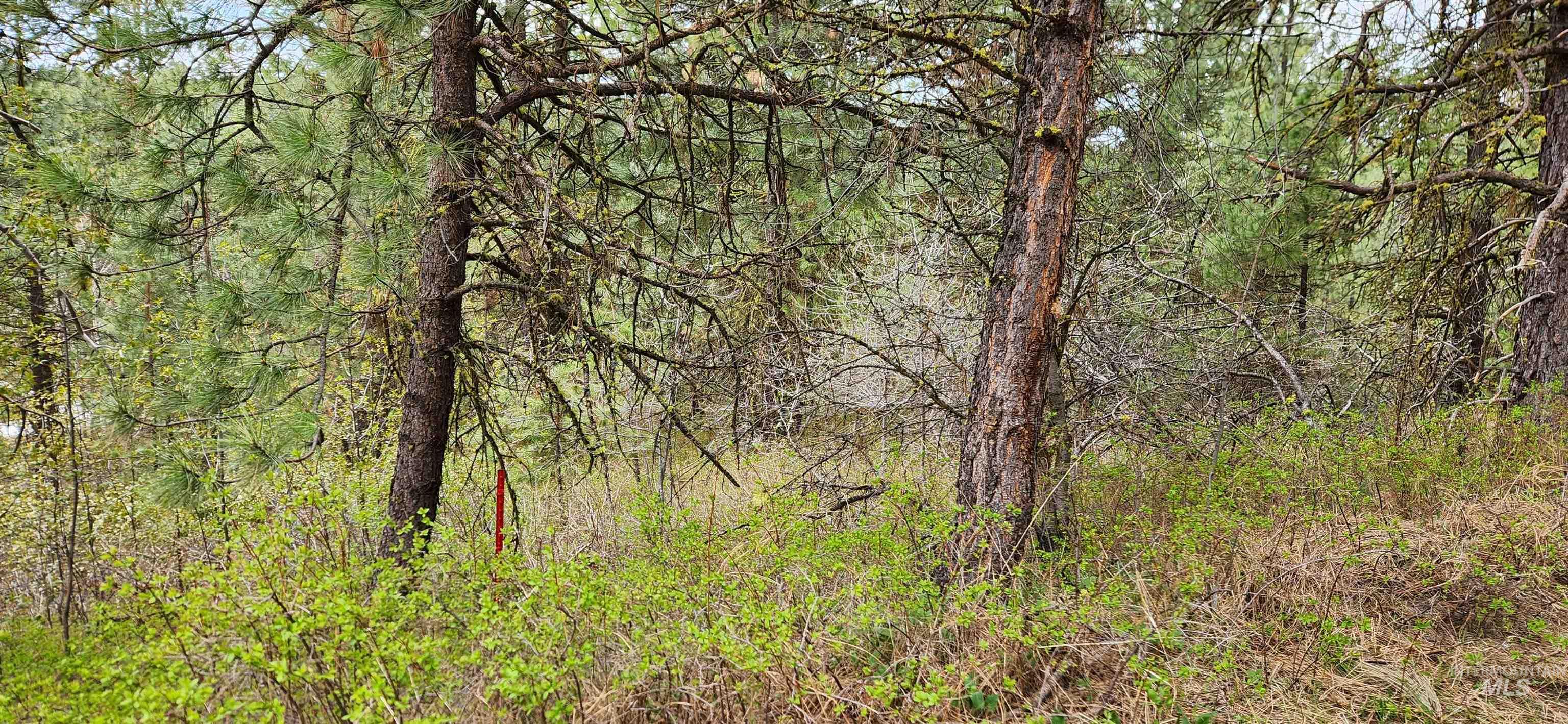 TBD Outlaw Trail, Banks, Idaho 83602, Land For Sale, Price $170,000,MLS 98991503