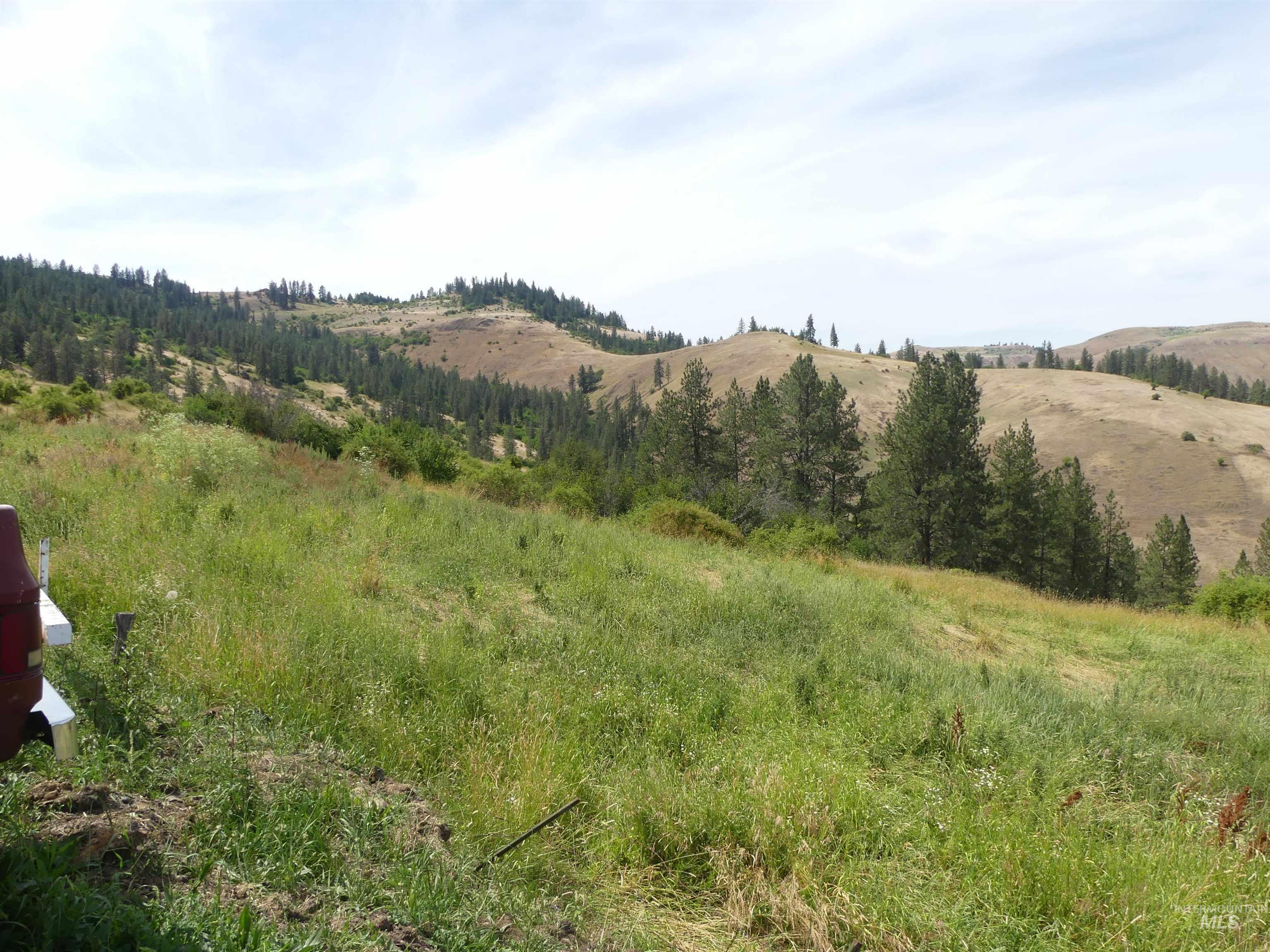320 Lamb Grade, Stites, Idaho 83552, 3 Bedrooms, 2 Bathrooms, Residential For Sale, Price $499,000,MLS 98991523