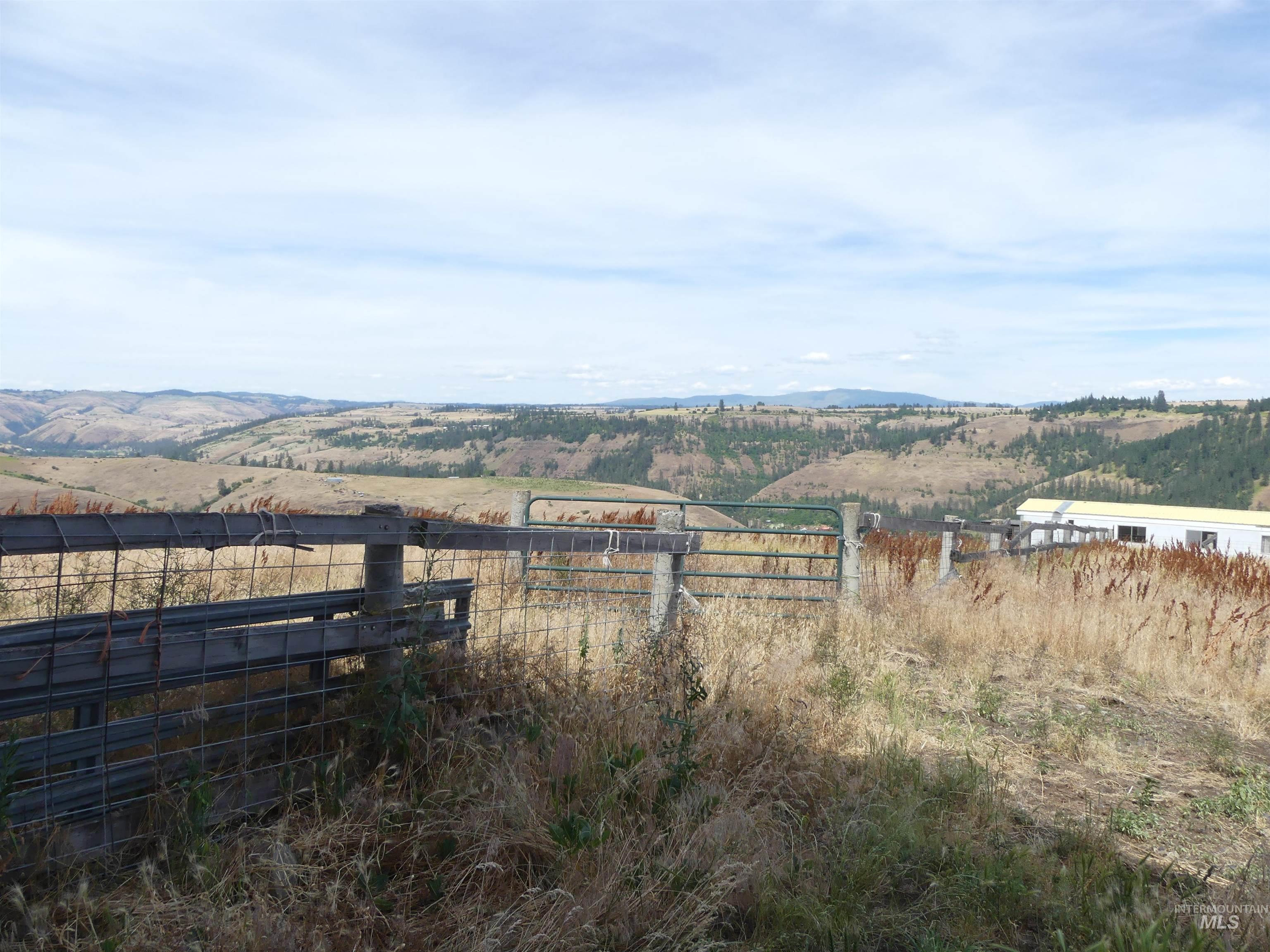 320 Lamb Grade, Stites, Idaho 83552, 3 Bedrooms, 2 Bathrooms, Residential For Sale, Price $499,000,MLS 98991523