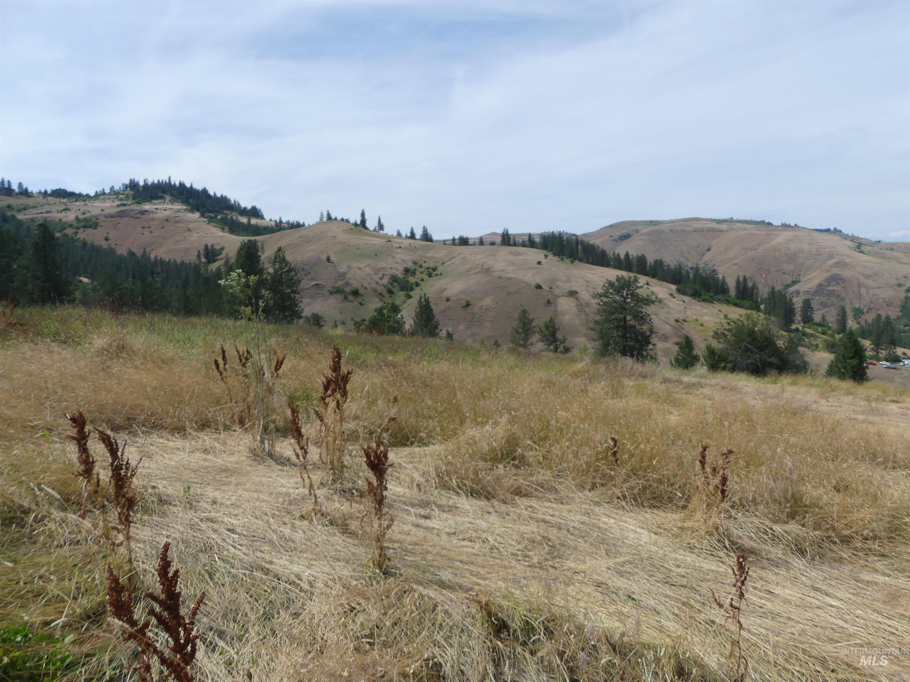 320 Lamb Grade, Stites, Idaho 83552, 3 Bedrooms, 2 Bathrooms, Residential For Sale, Price $499,000,MLS 98991523