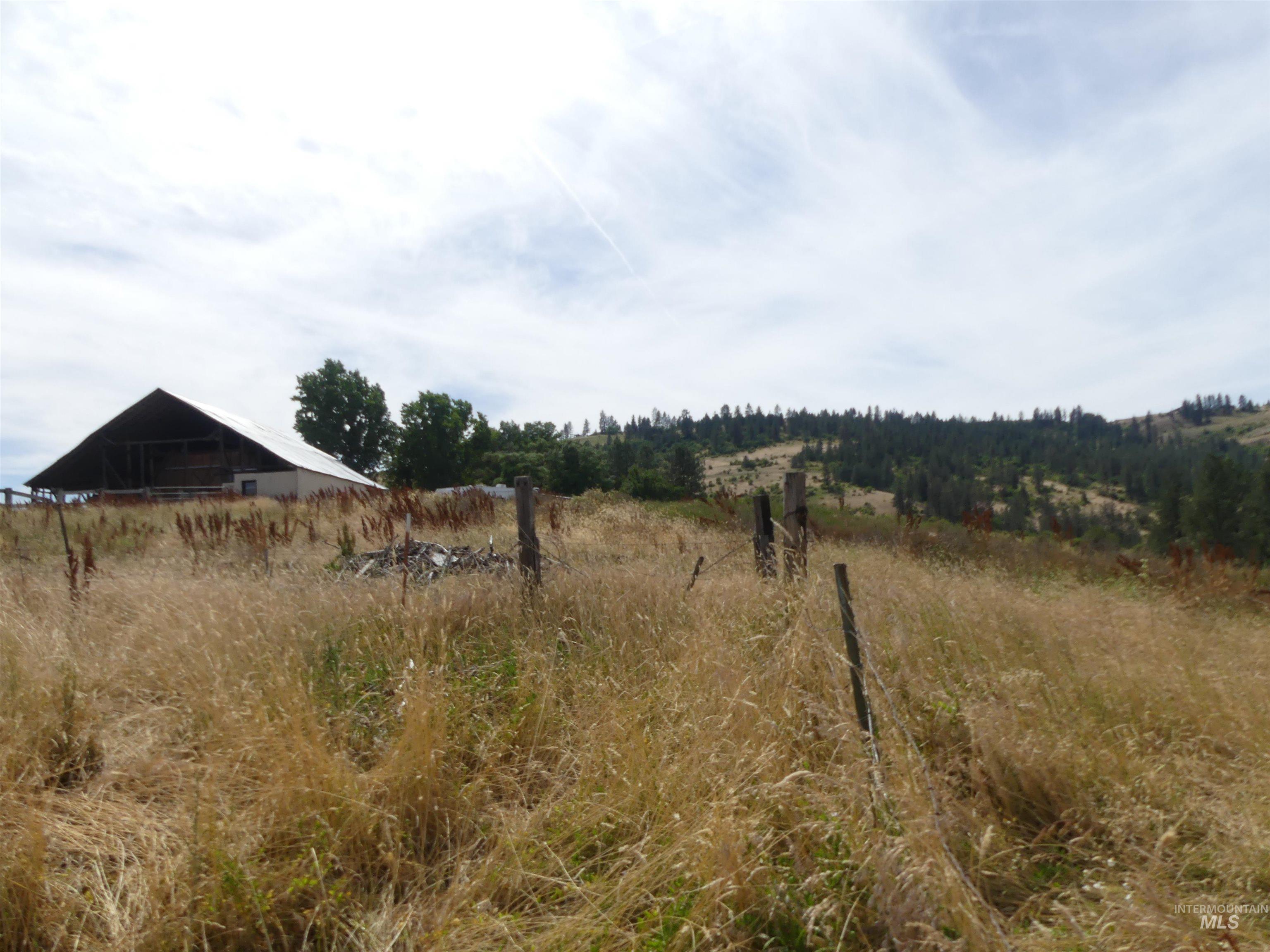 320 Lamb Grade, Stites, Idaho 83552, 3 Bedrooms, 2 Bathrooms, Residential For Sale, Price $499,000,MLS 98991523