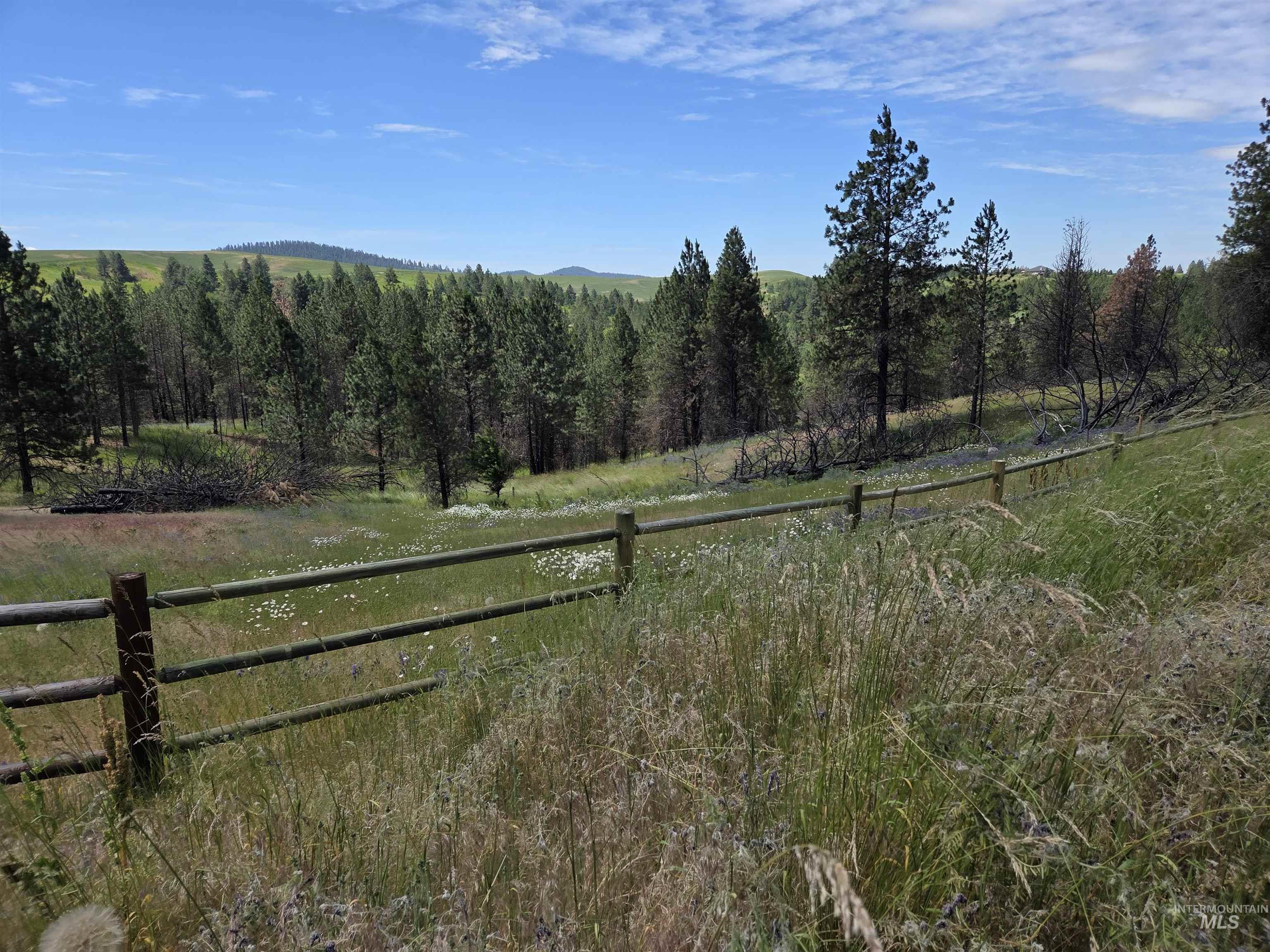 1085 Wallen Road, Moscow, Idaho 83843, 3 Bedrooms, 3 Bathrooms, Residential For Sale, Price $899,000, 98991526