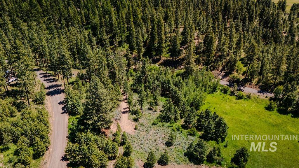 17 Hondo, Donnelly, Idaho 83615, Land For Sale, Price $259,000,MLS 98991559