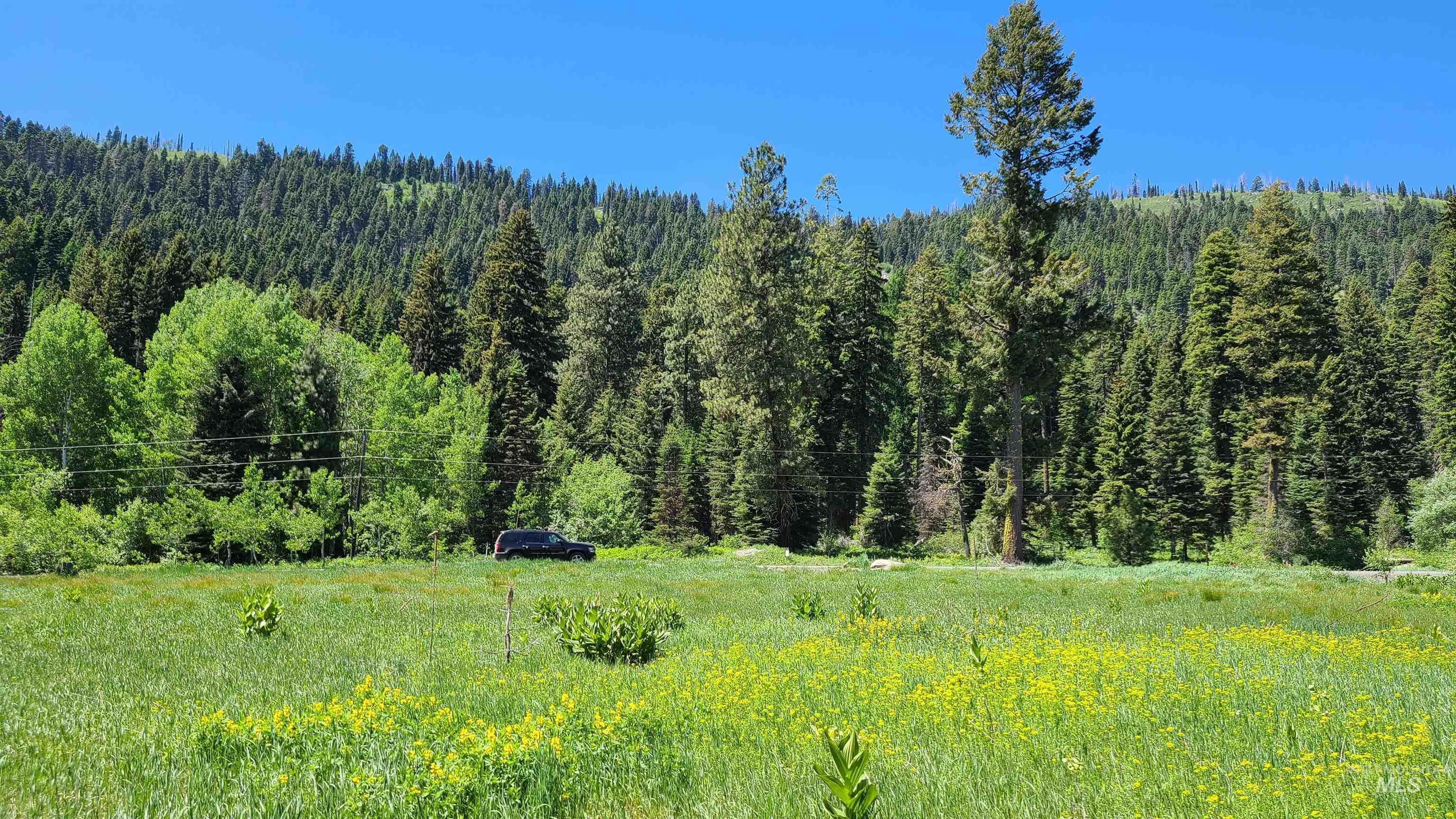 1608 Bear Trail Loop, Cascade, Idaho 83611, Land For Sale, Price $329,000, 98991575