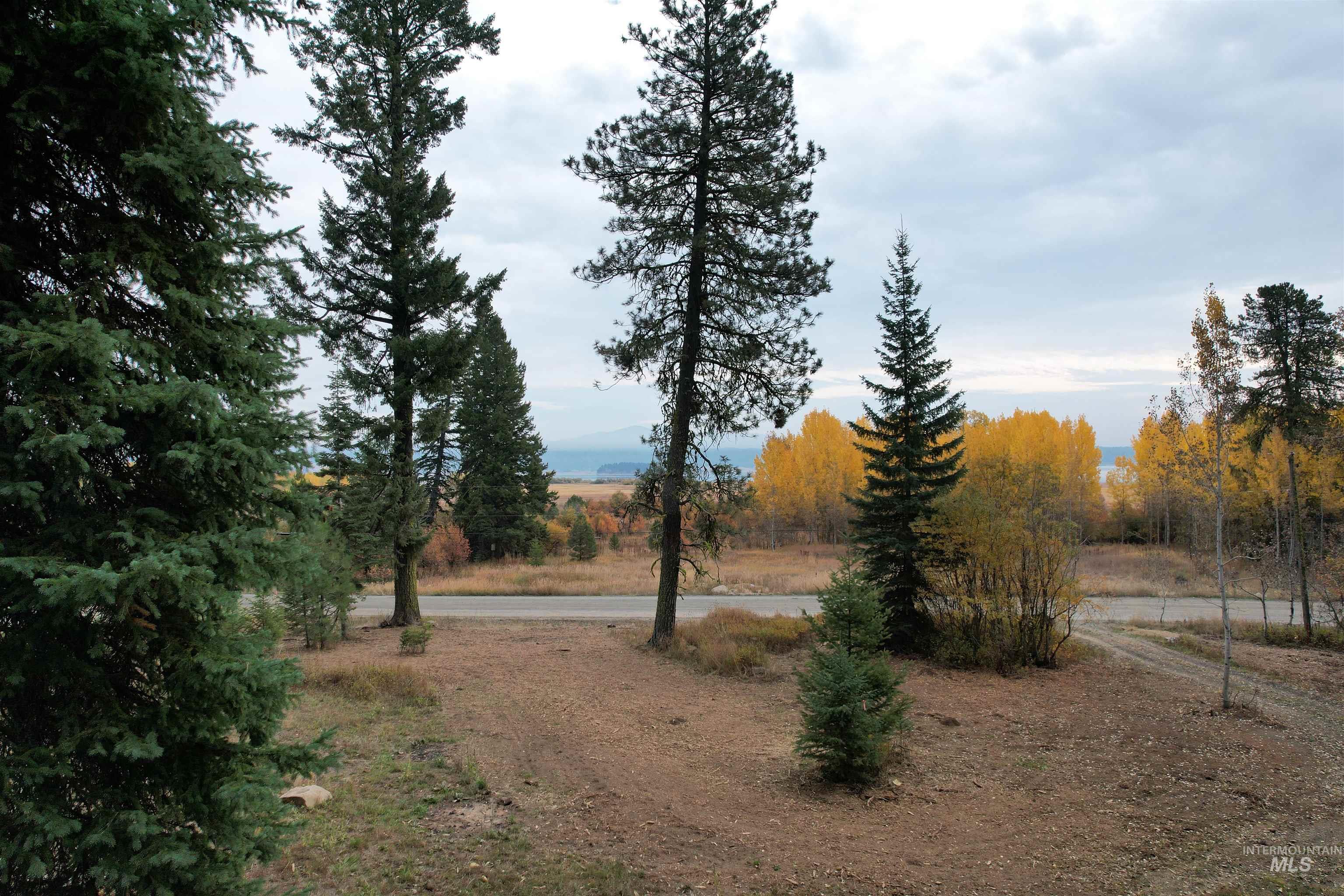 1608 Bear Trail Loop, Cascade, Idaho 83611, Land For Sale, Price $329,000, 98991575