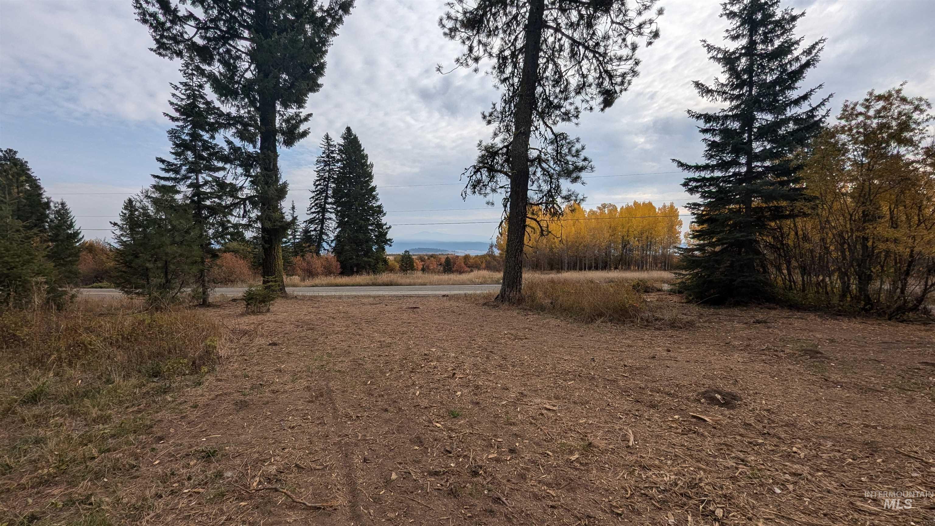 1608 Bear Trail Loop, Cascade, Idaho 83611, Land For Sale, Price $329,000, 98991575
