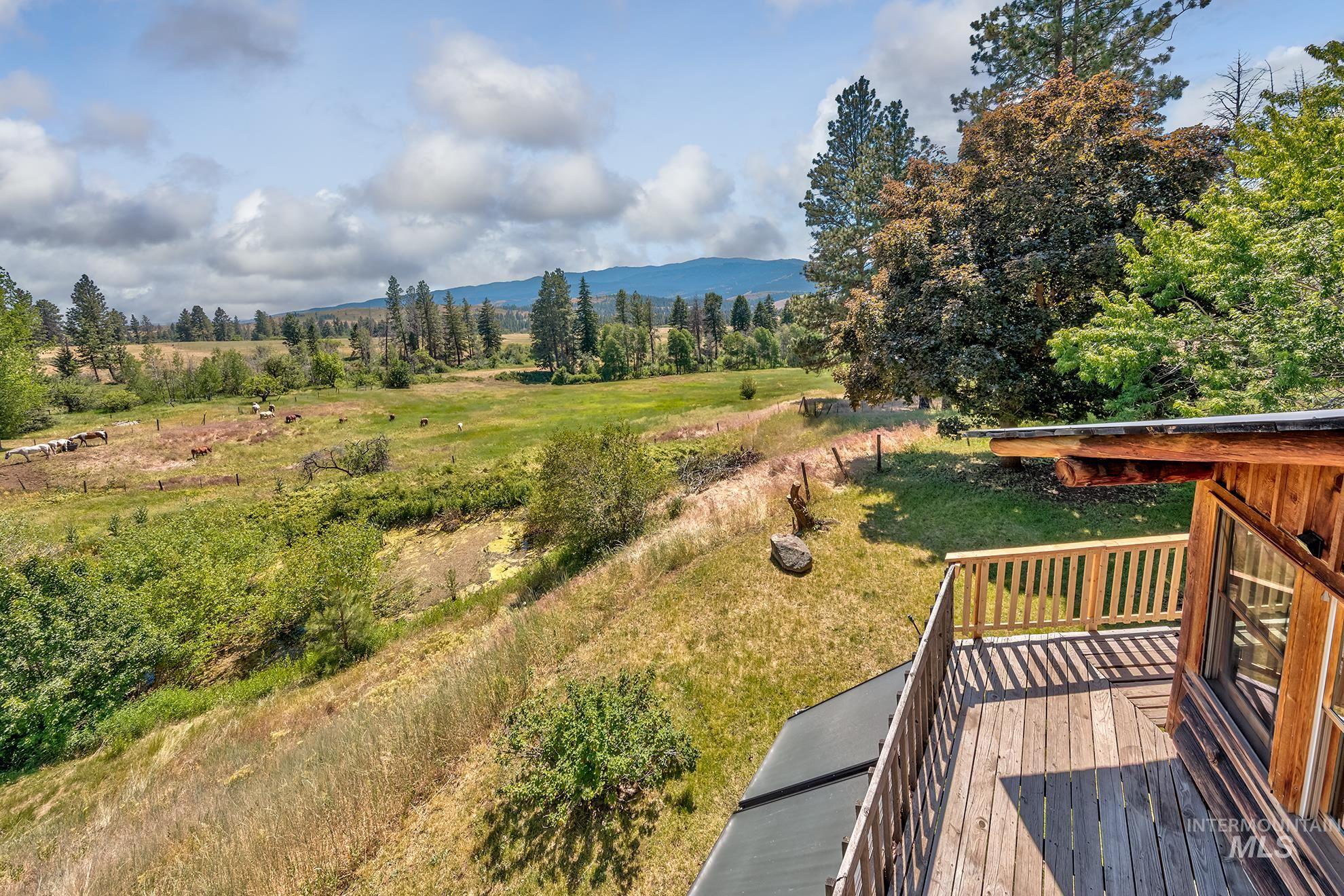 2150 Seid Creek Road, Cambridge, Idaho 83610, 4 Bedrooms, 2.5 Bathrooms, Residential For Sale, Price $769,000,MLS 98991599
