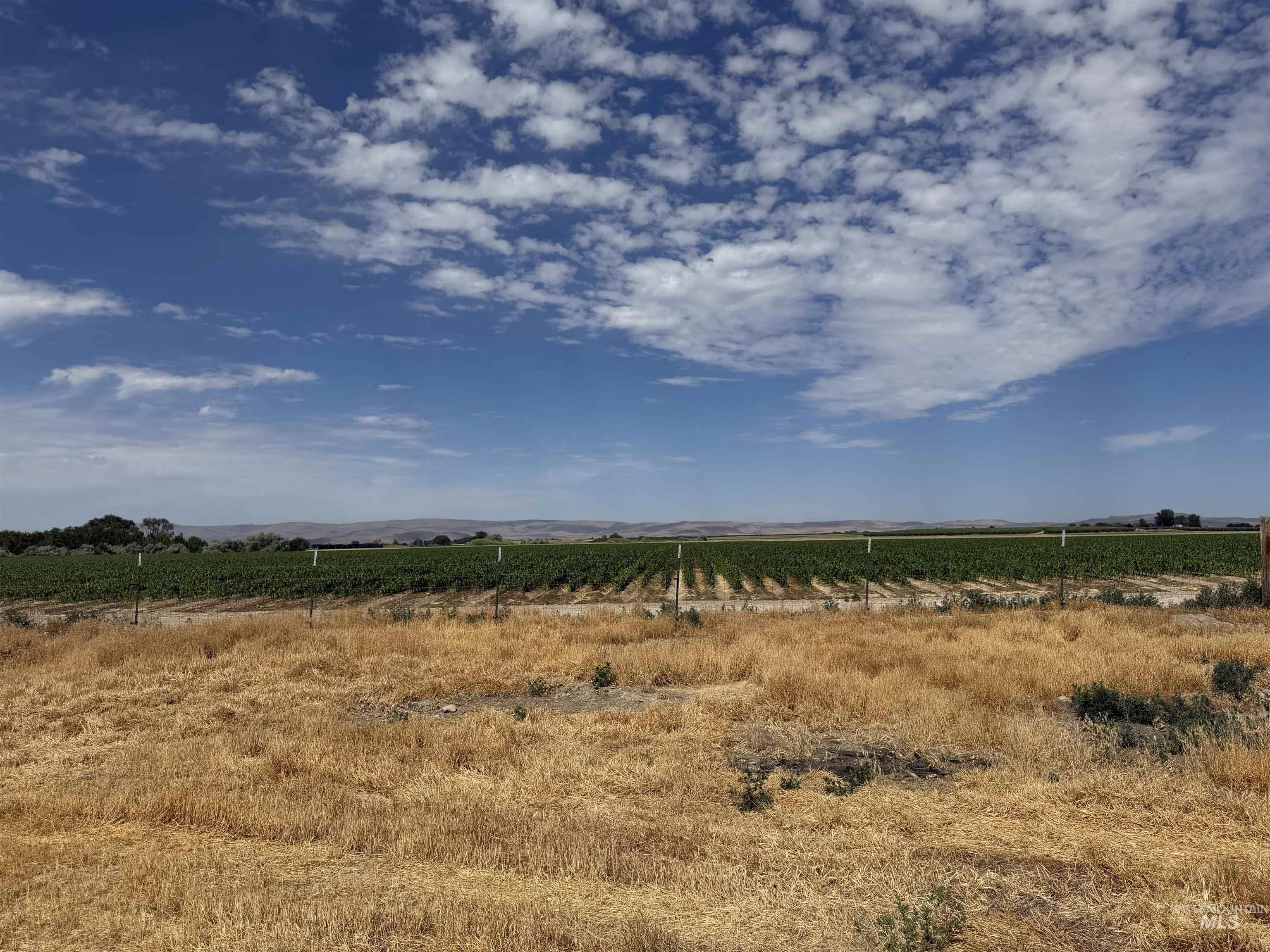 3171 Lee Ln, Homedale, Idaho 83628, Land For Sale, Price $650,000, 98991689
