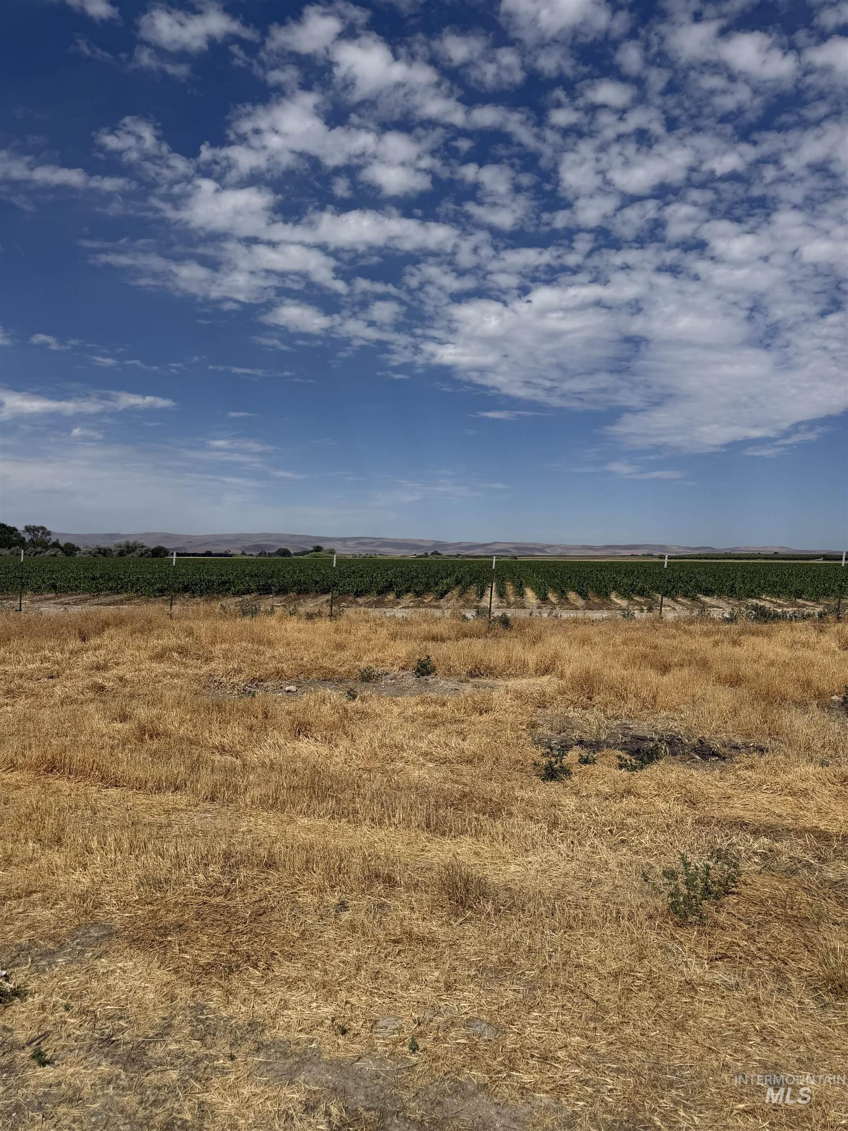 3171 Lee Ln, Homedale, Idaho 83628, Land For Sale, Price $650,000, 98991689
