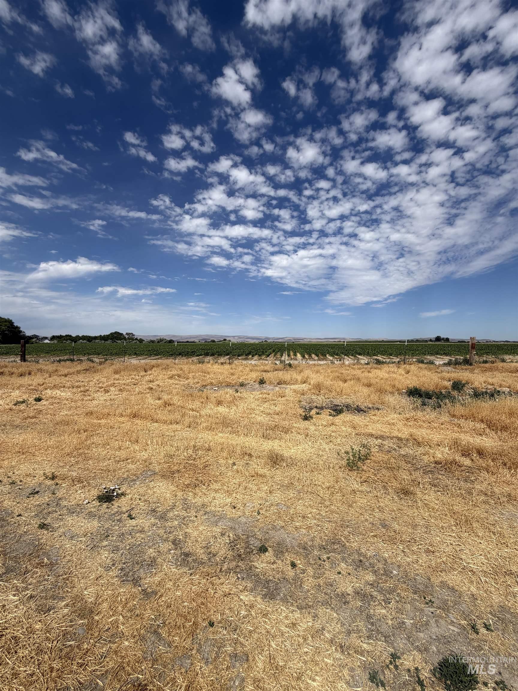 3171 Lee Ln, Homedale, Idaho 83628, Land For Sale, Price $650,000, 98991689
