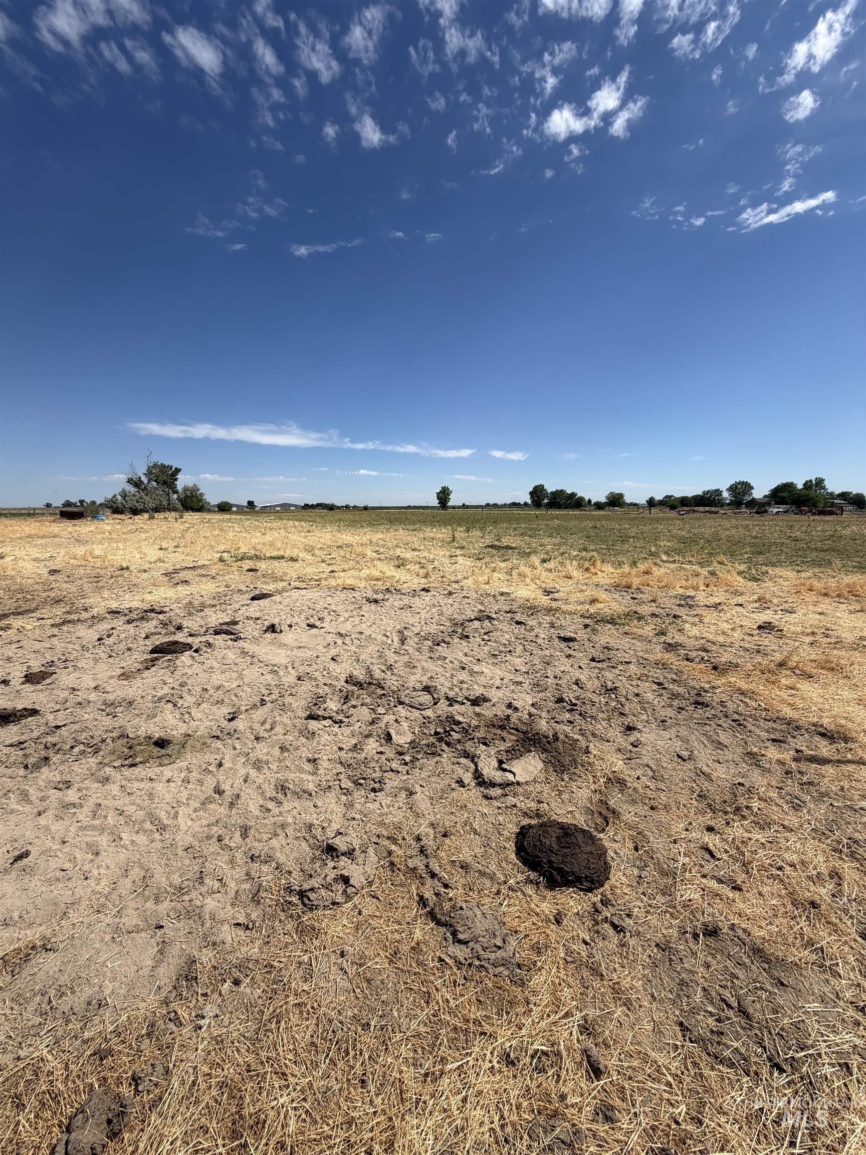 3171 Lee Ln, Homedale, Idaho 83628, Land For Sale, Price $650,000, 98991689