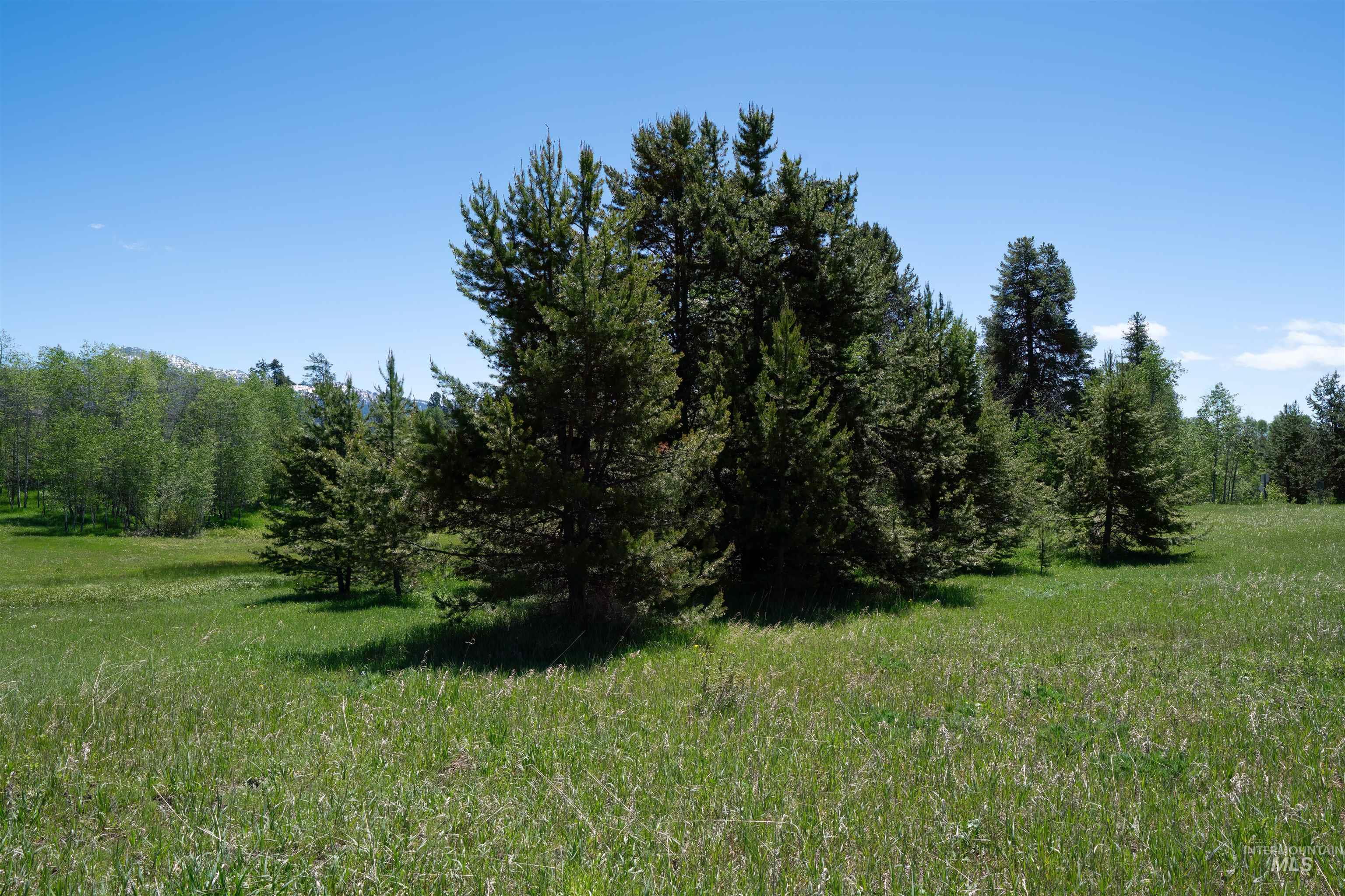 14128 Jefferson Road, McCall, Idaho 83638, Land For Sale, Price $324,999, 98991692