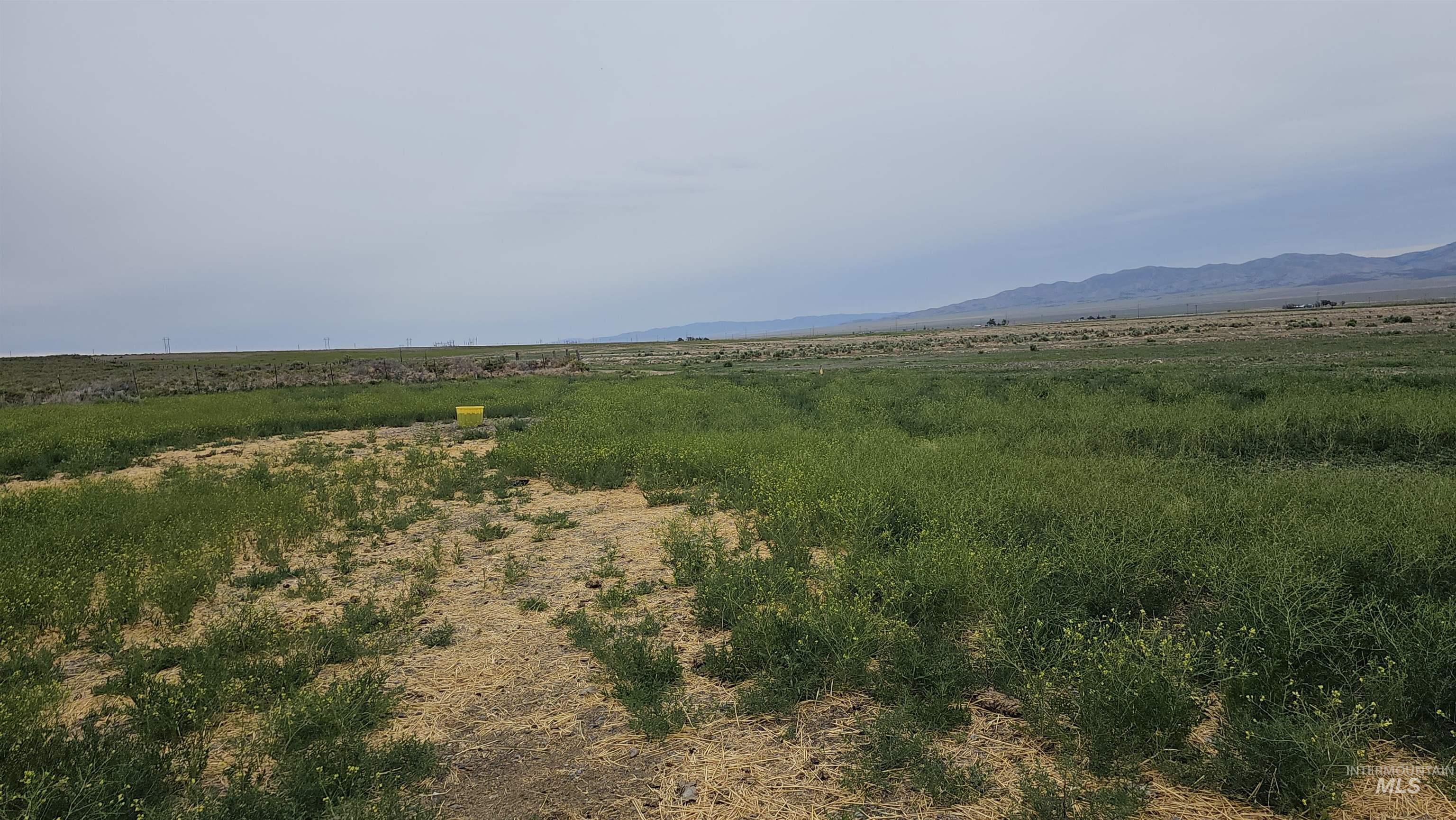 2192 E 2925 S, Malta, Idaho 83342, Farm & Ranch For Sale, Price $1,500,000,MLS 98991707