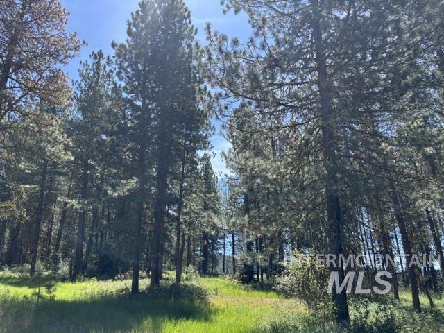 TBD Canyon Creek Way, New Meadows, Idaho 83654, Land For Sale, Price $225,000, 98991729