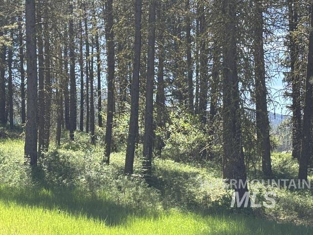 TBD Canyon Creek Way, New Meadows, Idaho 83654, Land For Sale, Price $225,000, 98991729