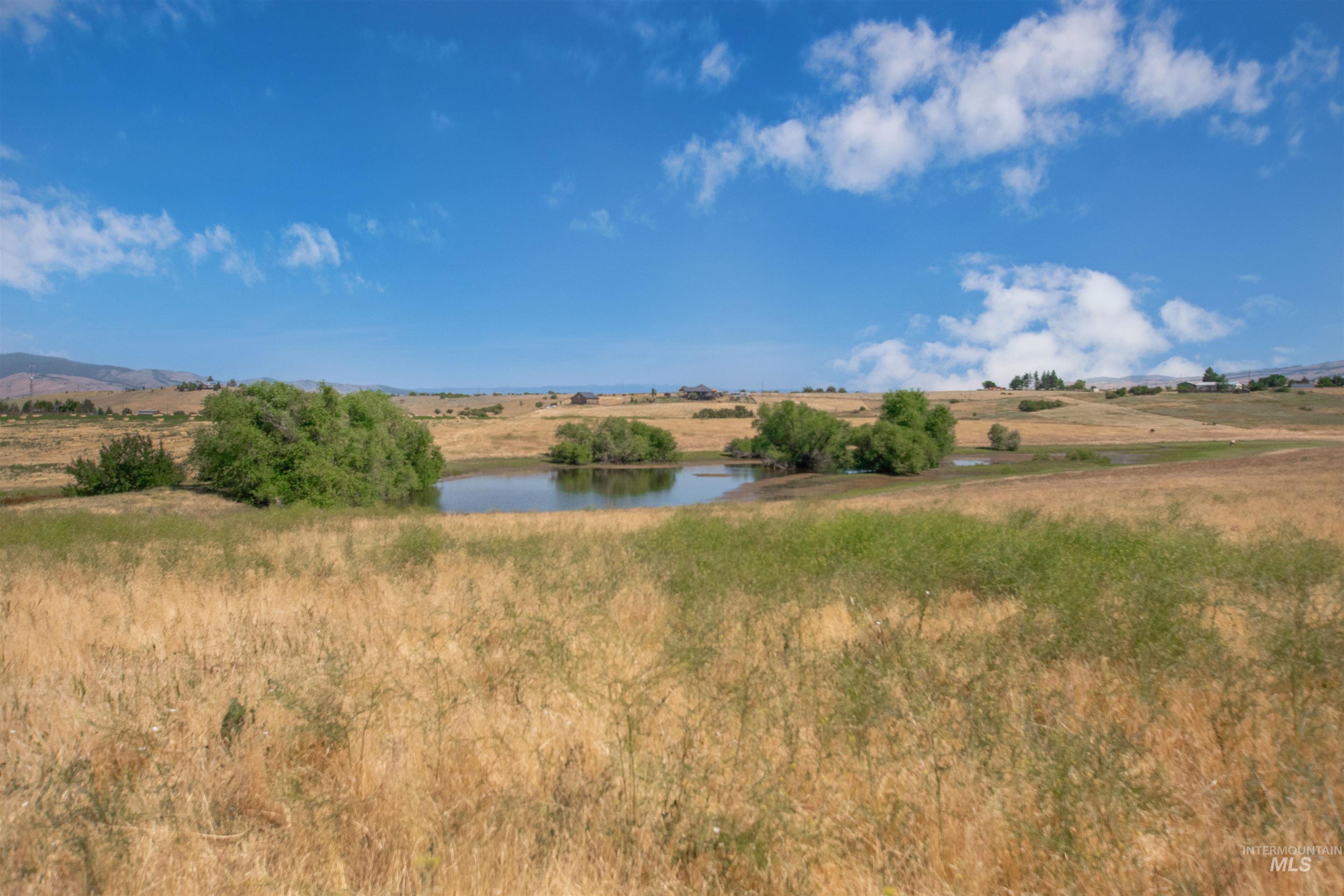 2270 Kilborn Lane, Mesa, Idaho 83643, 5 Bedrooms, 3 Bathrooms, Residential For Sale, Price $850,000, 98991731