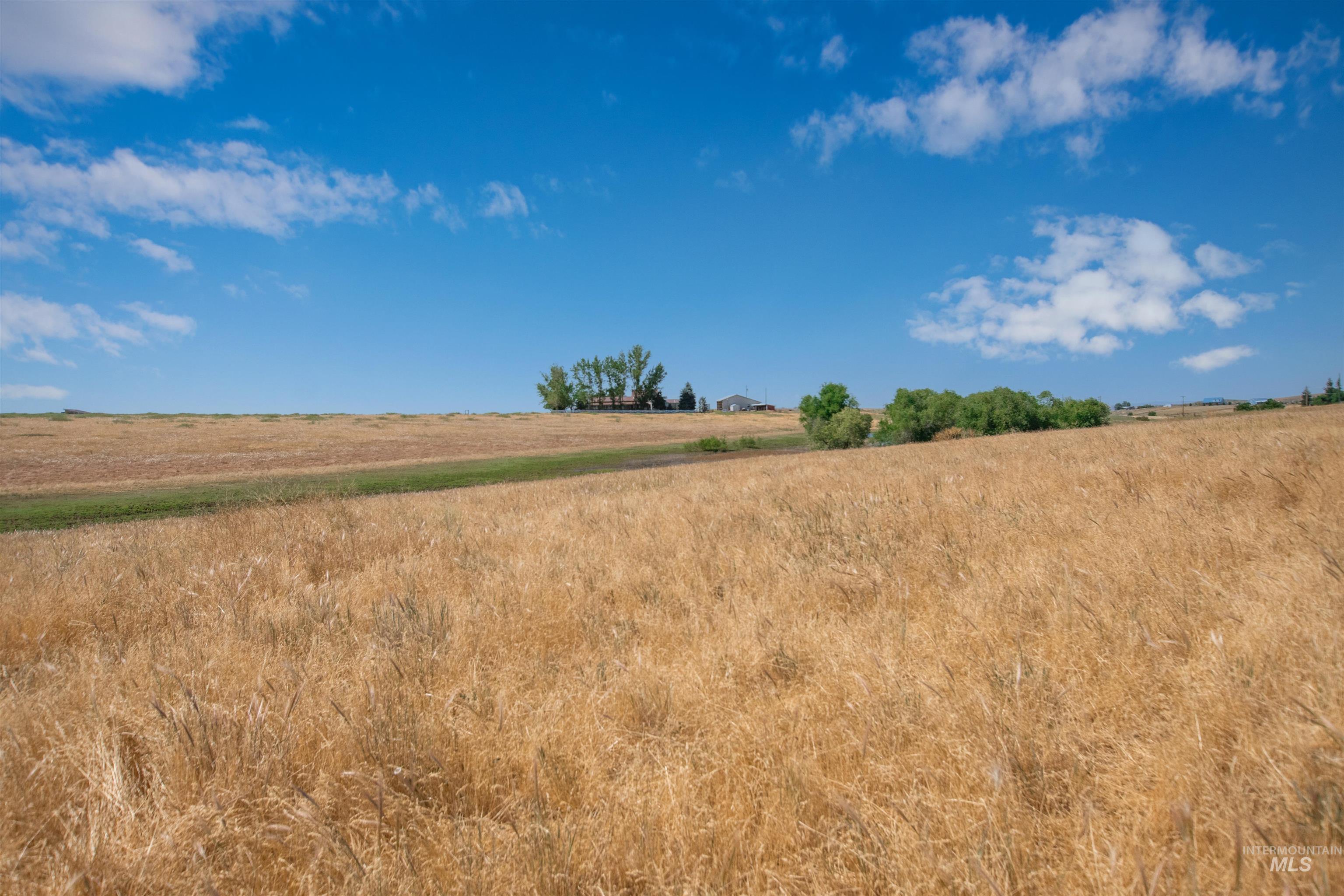 2270 Kilborn Lane, Mesa, Idaho 83643, 5 Bedrooms, 3 Bathrooms, Residential For Sale, Price $850,000, 98991731