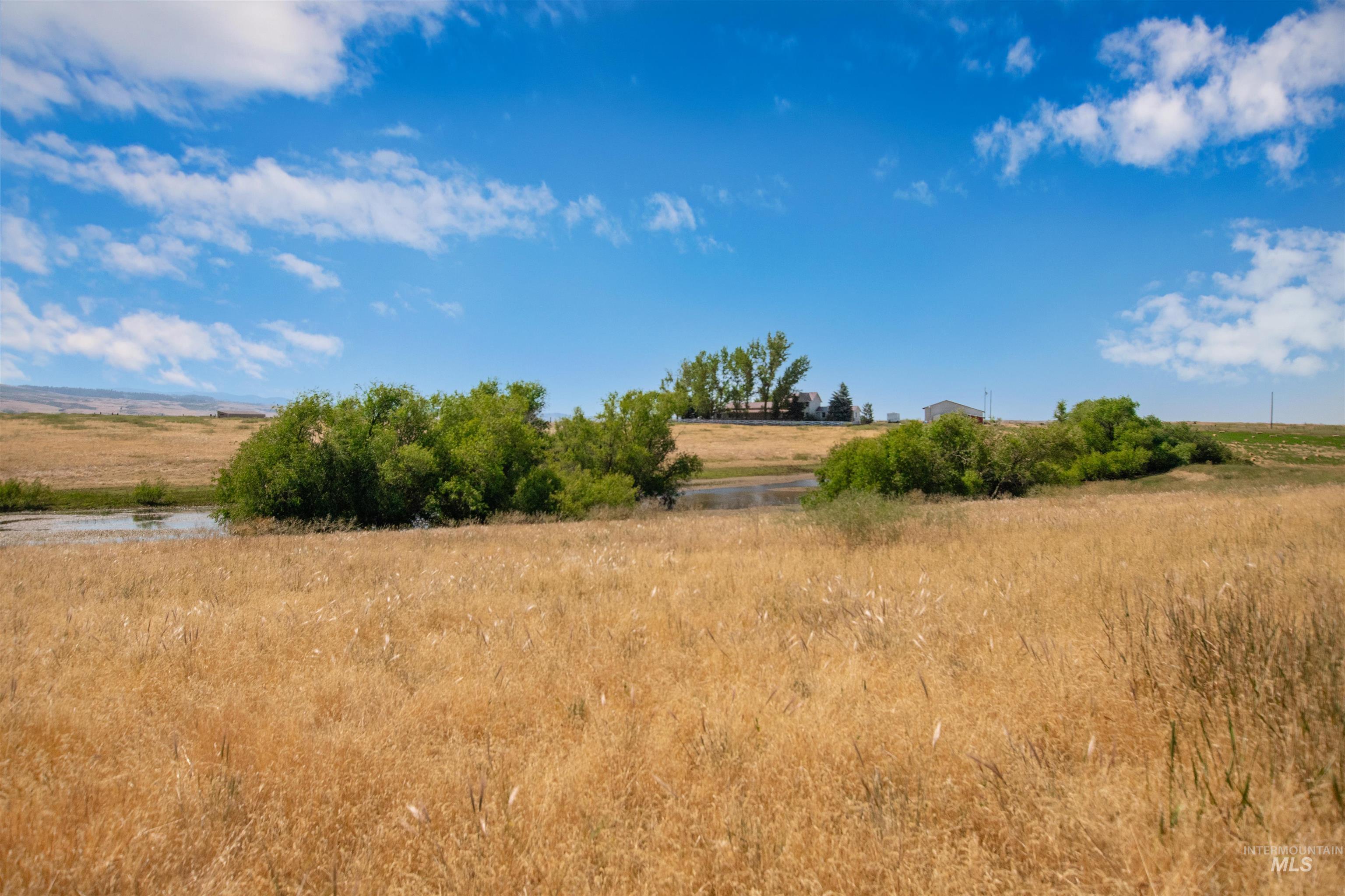 2270 Kilborn Lane, Mesa, Idaho 83643, 5 Bedrooms, 3 Bathrooms, Residential For Sale, Price $850,000, 98991731