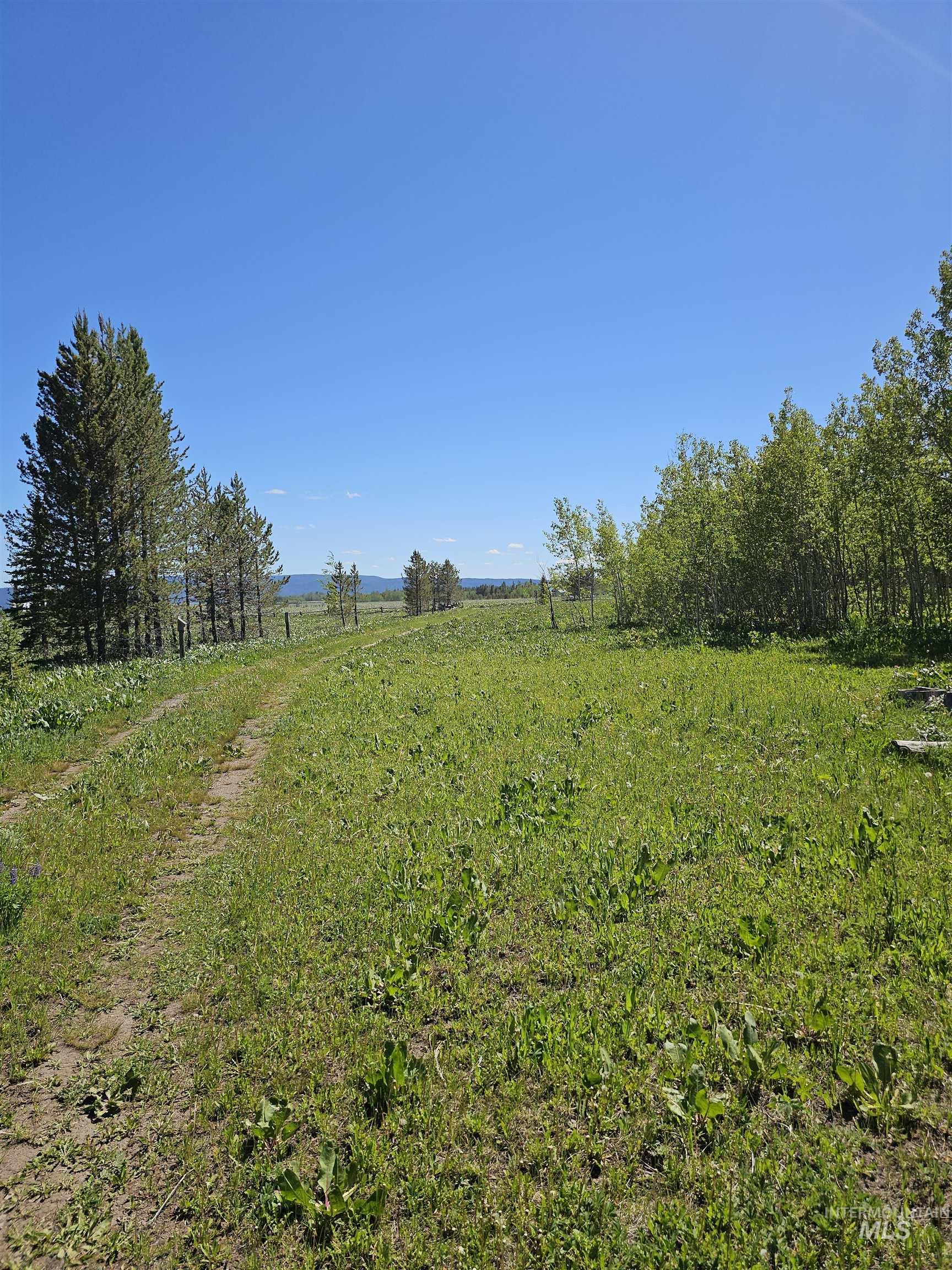 4148 Lariat way, Island Park, Idaho 83429, Land For Sale, Price $300,000, 98991749