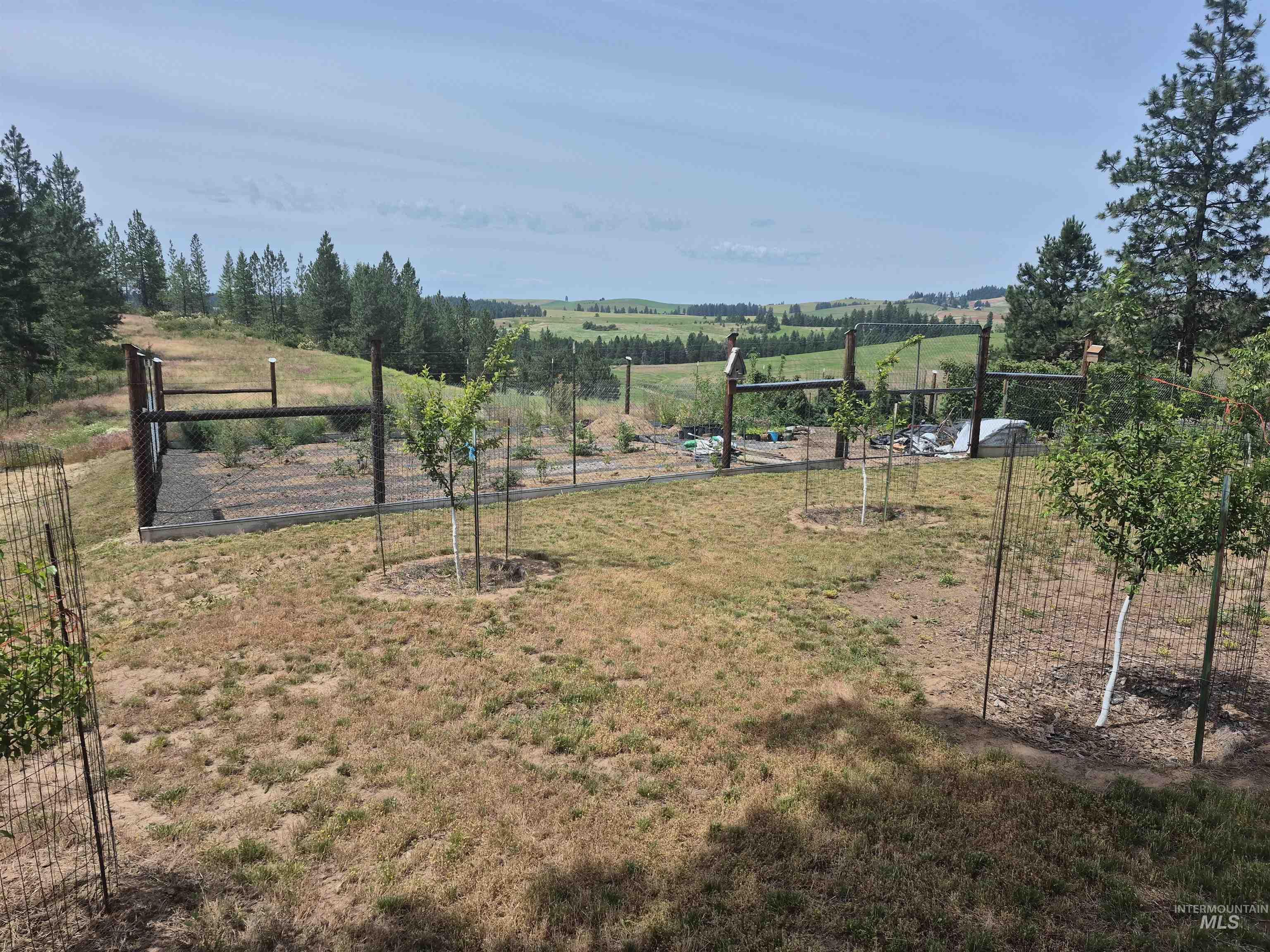 1044 Clemenhagen Rd, Deary, Idaho 83823, 2 Bedrooms, 2 Bathrooms, Residential For Sale, Price $1,300,000,MLS 98991770