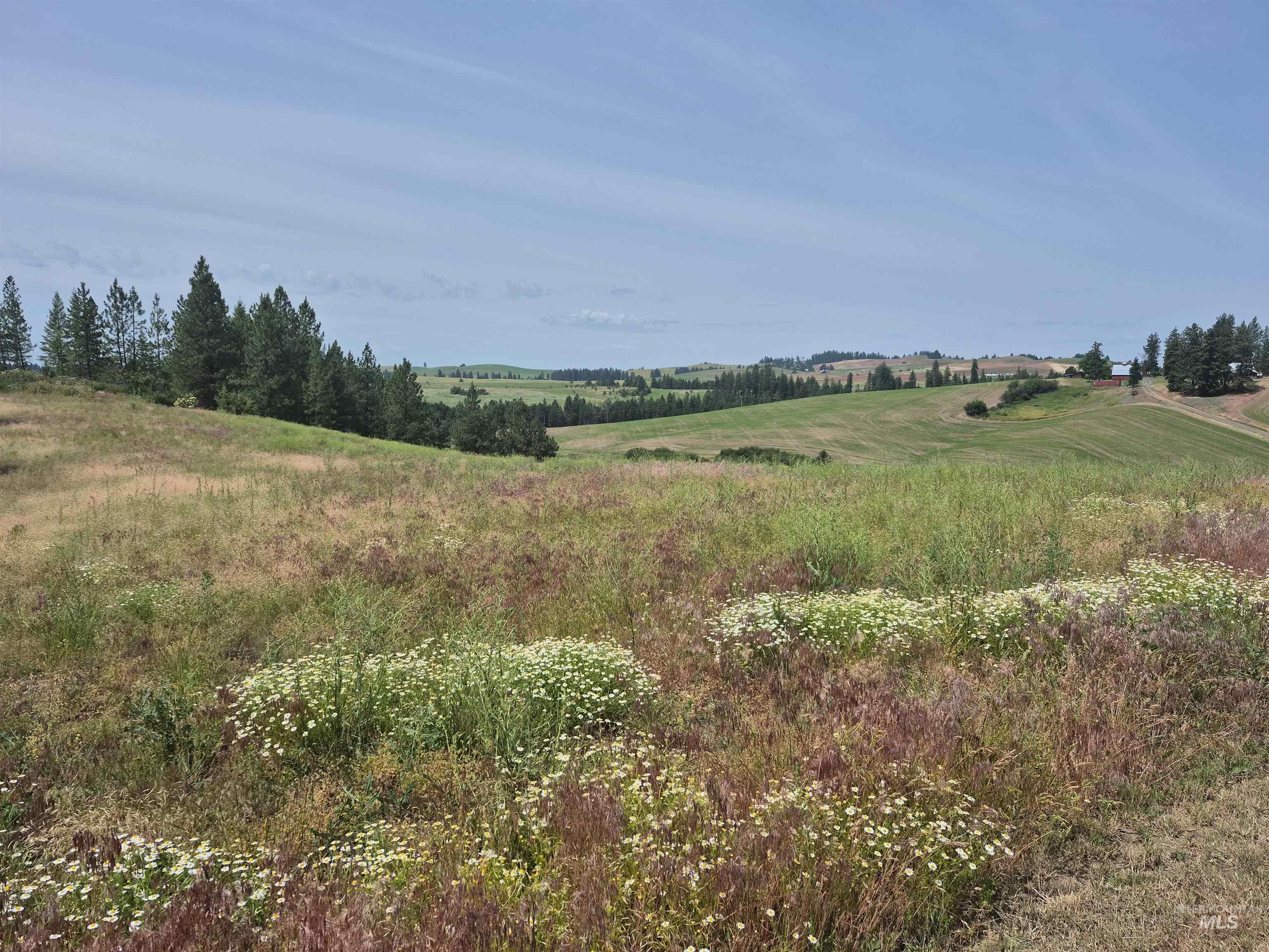 1044 Clemenhagen Rd, Deary, Idaho 83823, 2 Bedrooms, 2 Bathrooms, Residential For Sale, Price $1,300,000,MLS 98991770