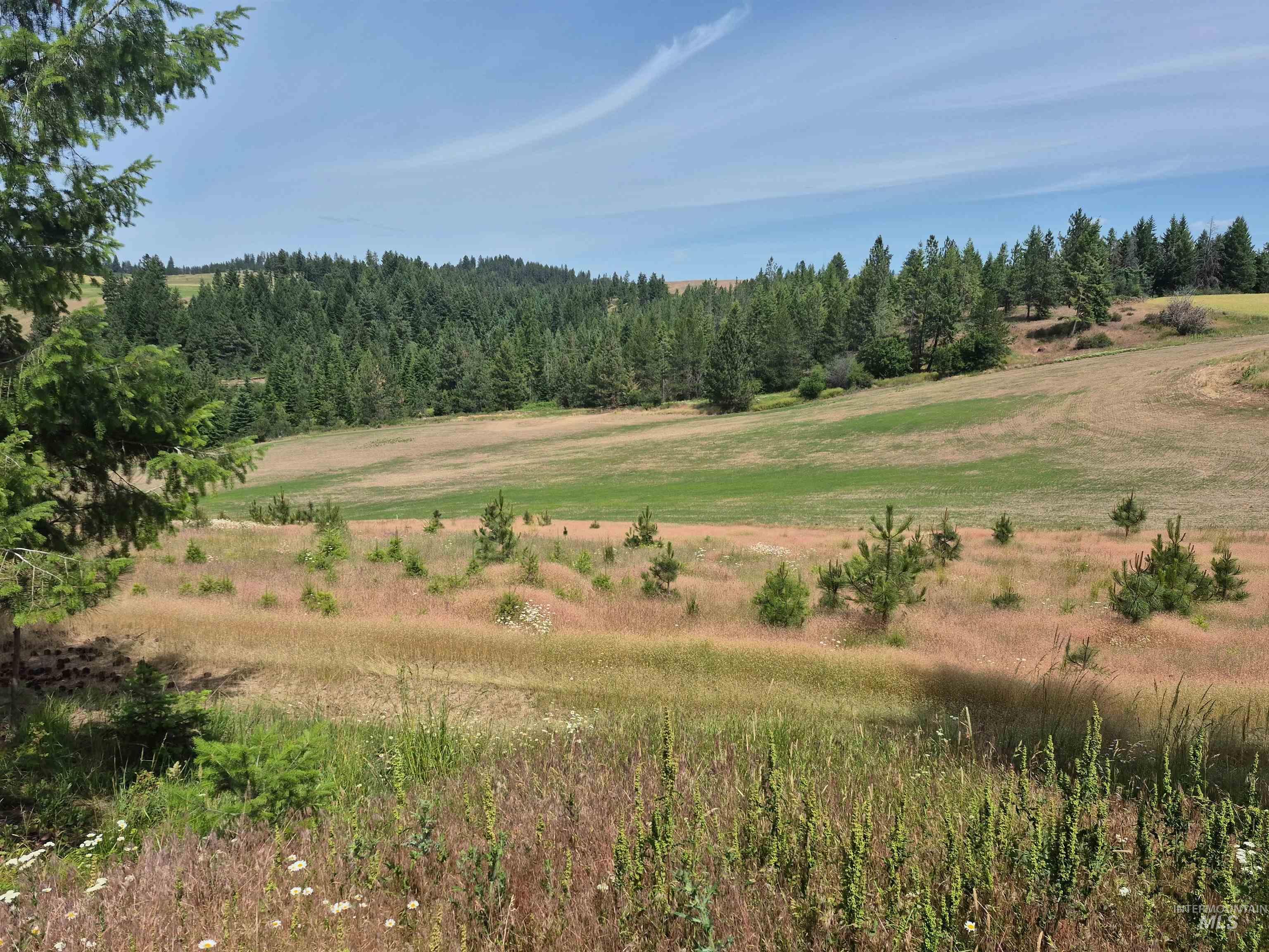 1044 Clemenhagen Rd, Deary, Idaho 83823, 2 Bedrooms, 2 Bathrooms, Residential For Sale, Price $1,300,000,MLS 98991770