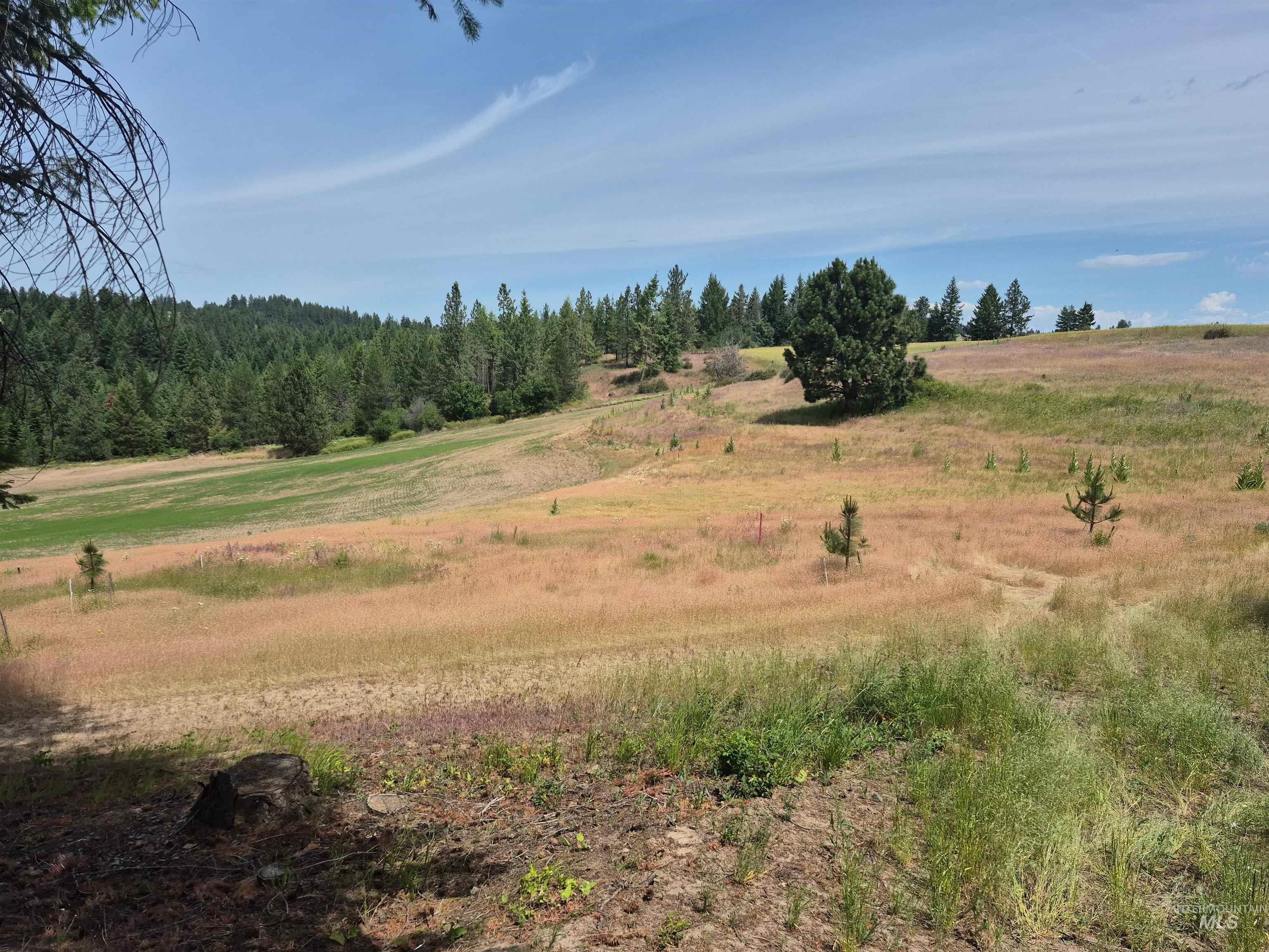 1044 Clemenhagen Rd, Deary, Idaho 83823, 2 Bedrooms, 2 Bathrooms, Residential For Sale, Price $1,300,000,MLS 98991770