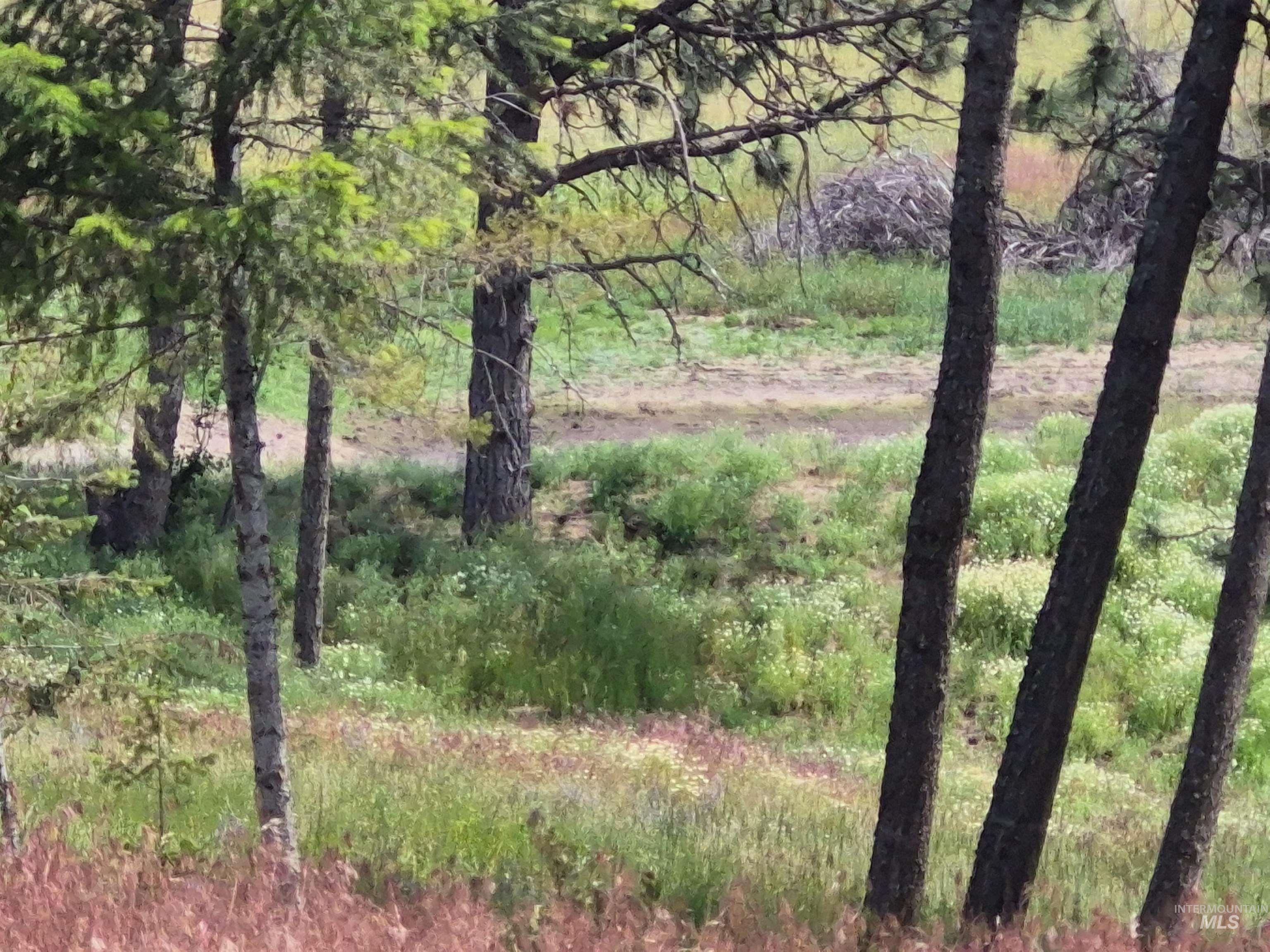 1044 Clemenhagen Rd, Deary, Idaho 83823, 2 Bedrooms, 2 Bathrooms, Residential For Sale, Price $1,300,000,MLS 98991770