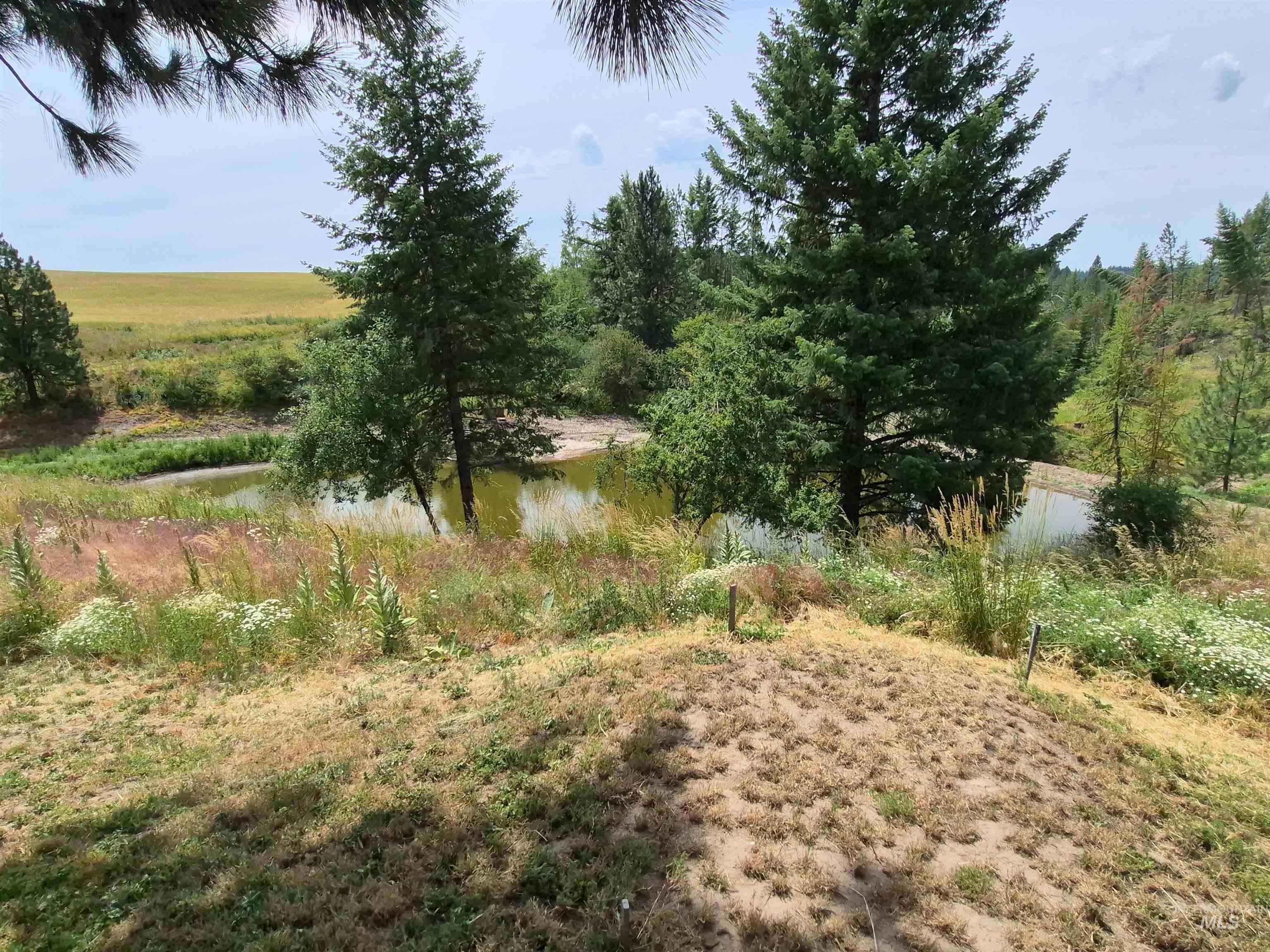 1044 Clemenhagen Rd, Deary, Idaho 83823, 2 Bedrooms, 2 Bathrooms, Residential For Sale, Price $1,300,000,MLS 98991770