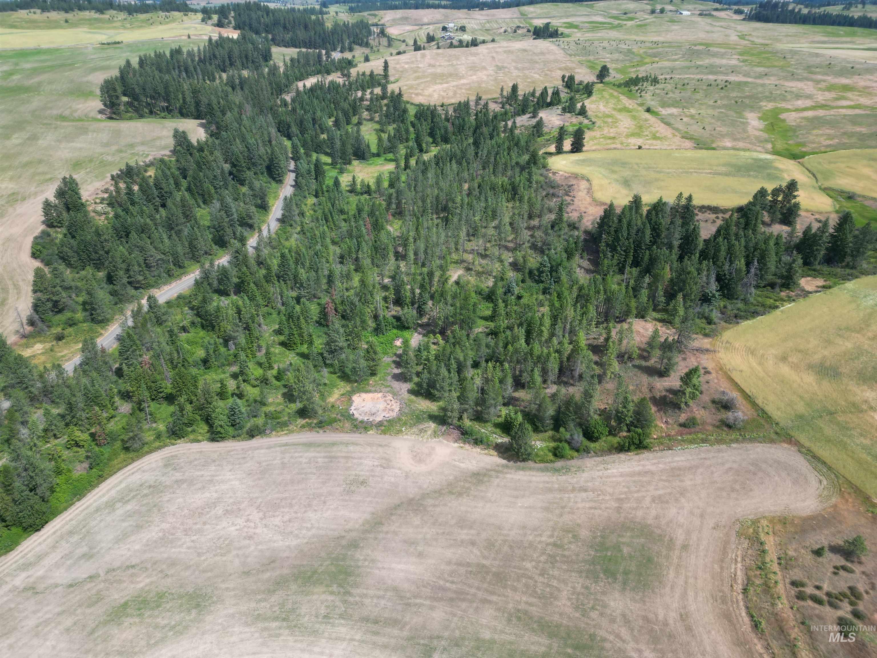 1044 Clemenhagen Rd, Deary, Idaho 83823, 2 Bedrooms, 2 Bathrooms, Residential For Sale, Price $1,300,000,MLS 98991770