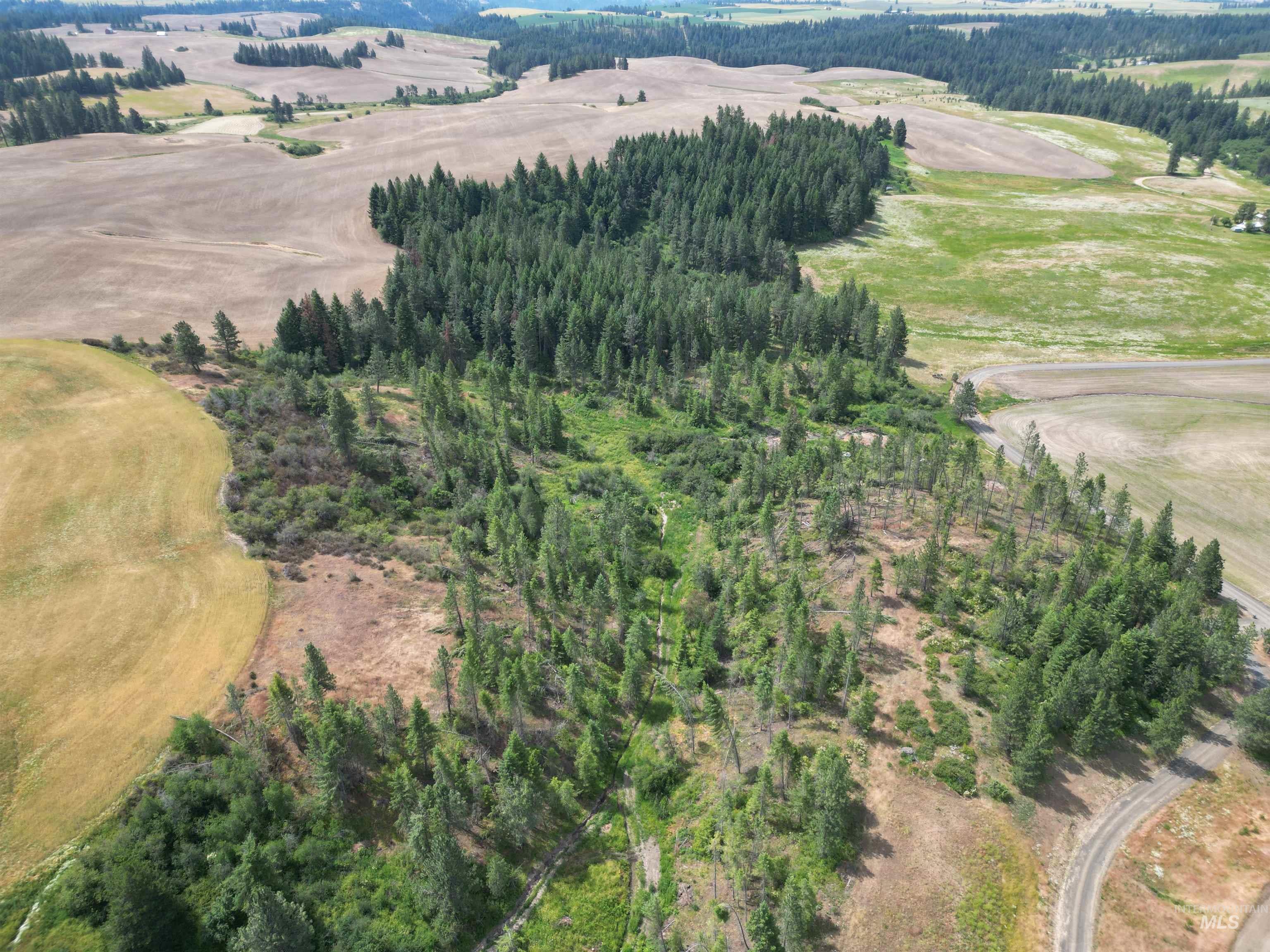 1044 Clemenhagen Rd, Deary, Idaho 83823, 2 Bedrooms, 2 Bathrooms, Residential For Sale, Price $1,300,000,MLS 98991770