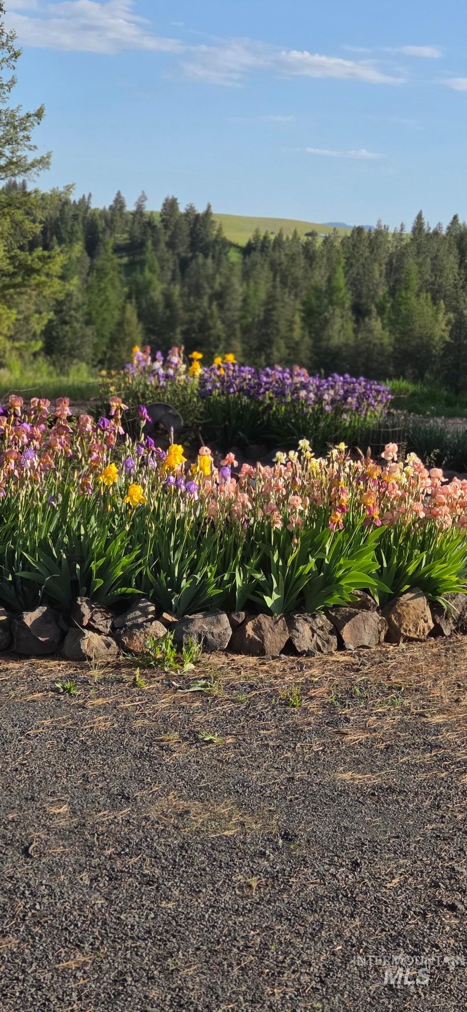 1044 Clemenhagen Rd, Deary, Idaho 83823, 2 Bedrooms, 2 Bathrooms, Residential For Sale, Price $1,300,000,MLS 98991770