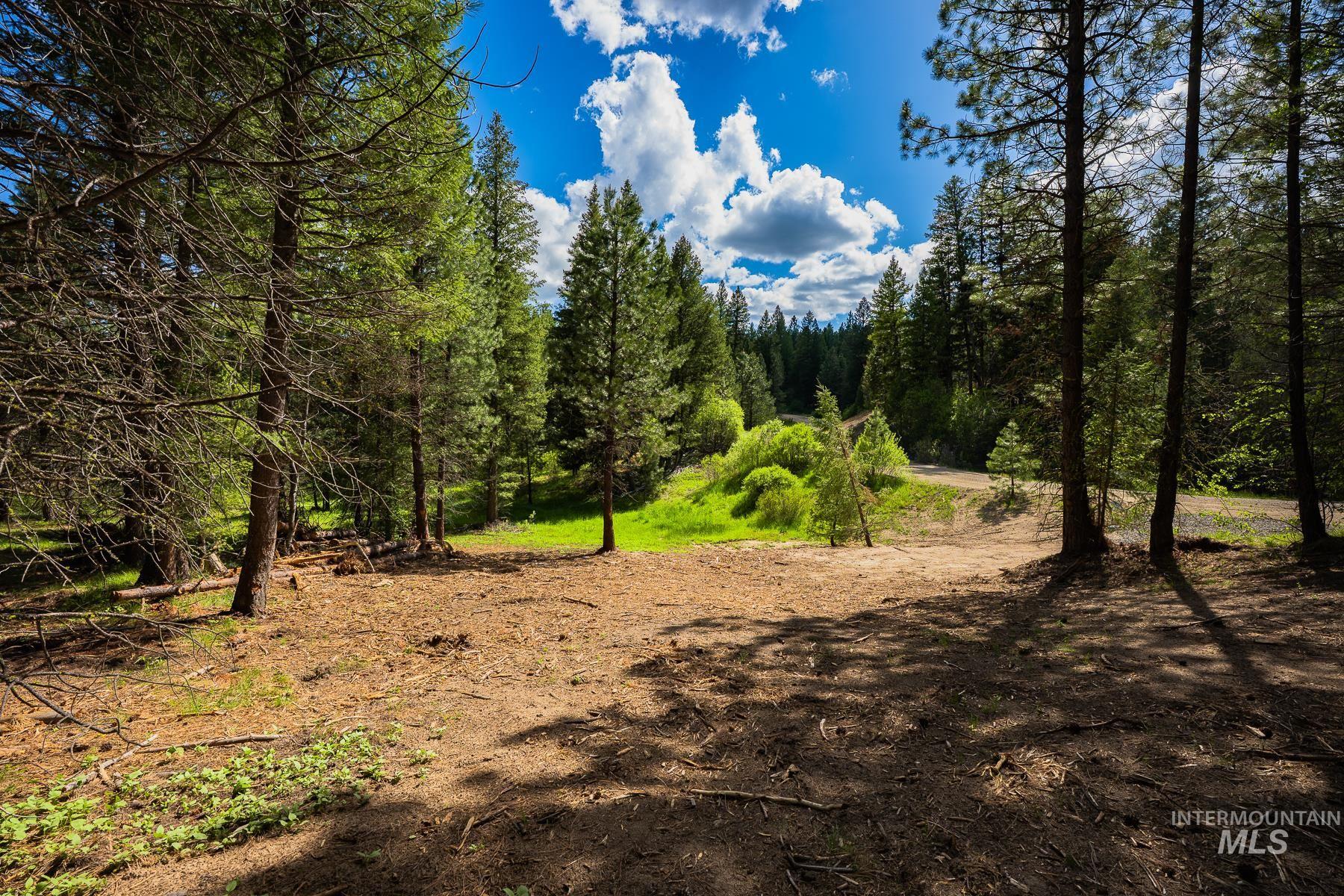 Lot 51 Price Loop, Cascade, Idaho 83611, Land For Sale, Price $165,000, 98991775
