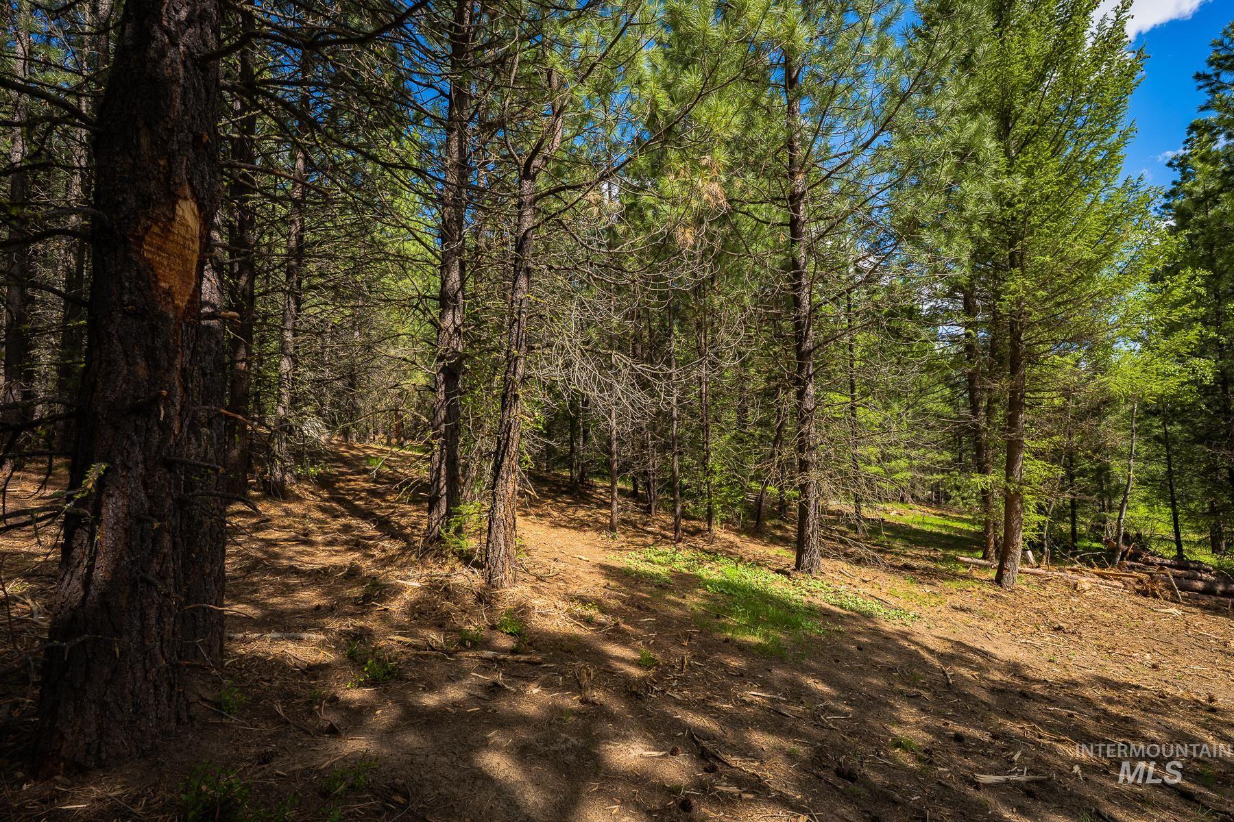Lot 51 Price Loop, Cascade, Idaho 83611, Land For Sale, Price $165,000, 98991775