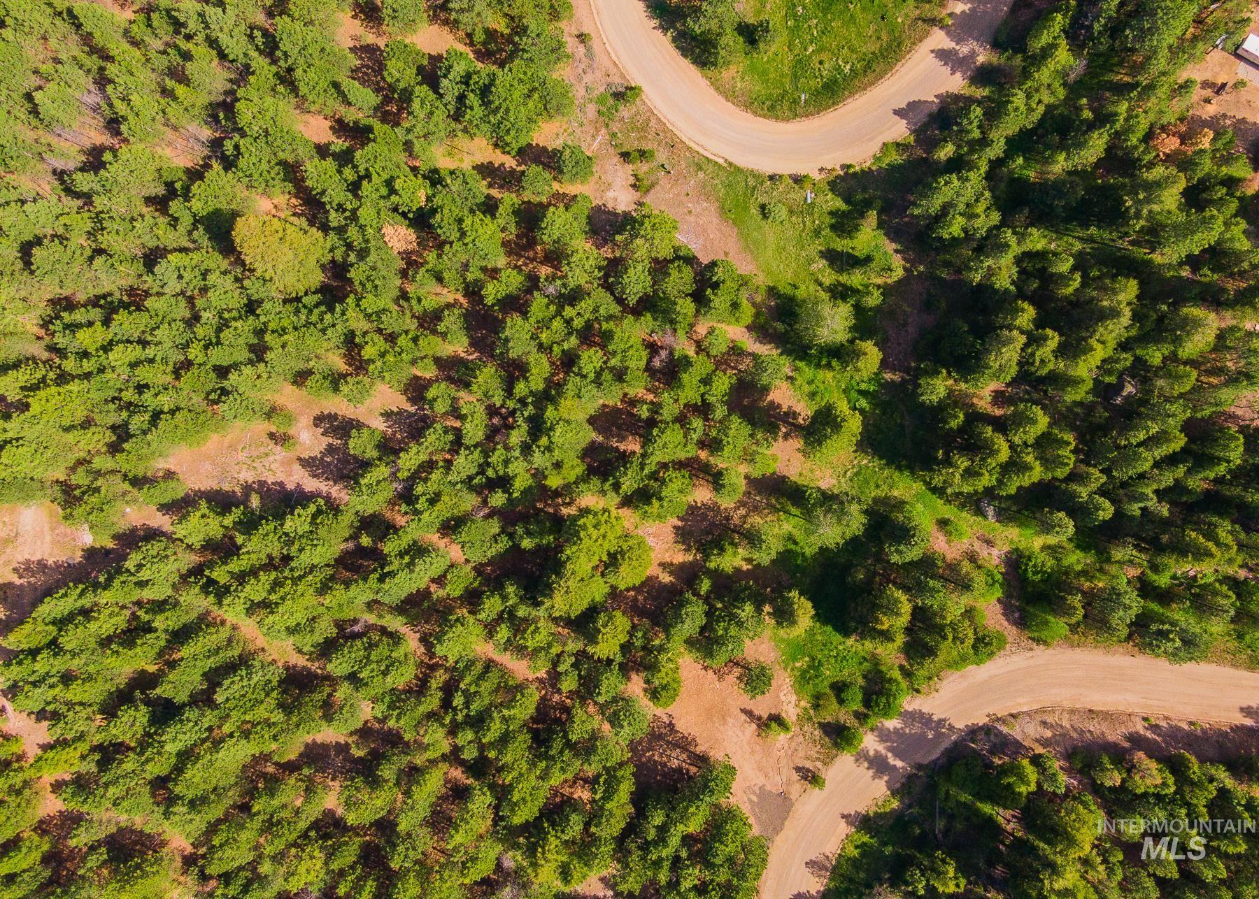 Lot 51 Price Loop, Cascade, Idaho 83611, Land For Sale, Price $165,000, 98991775