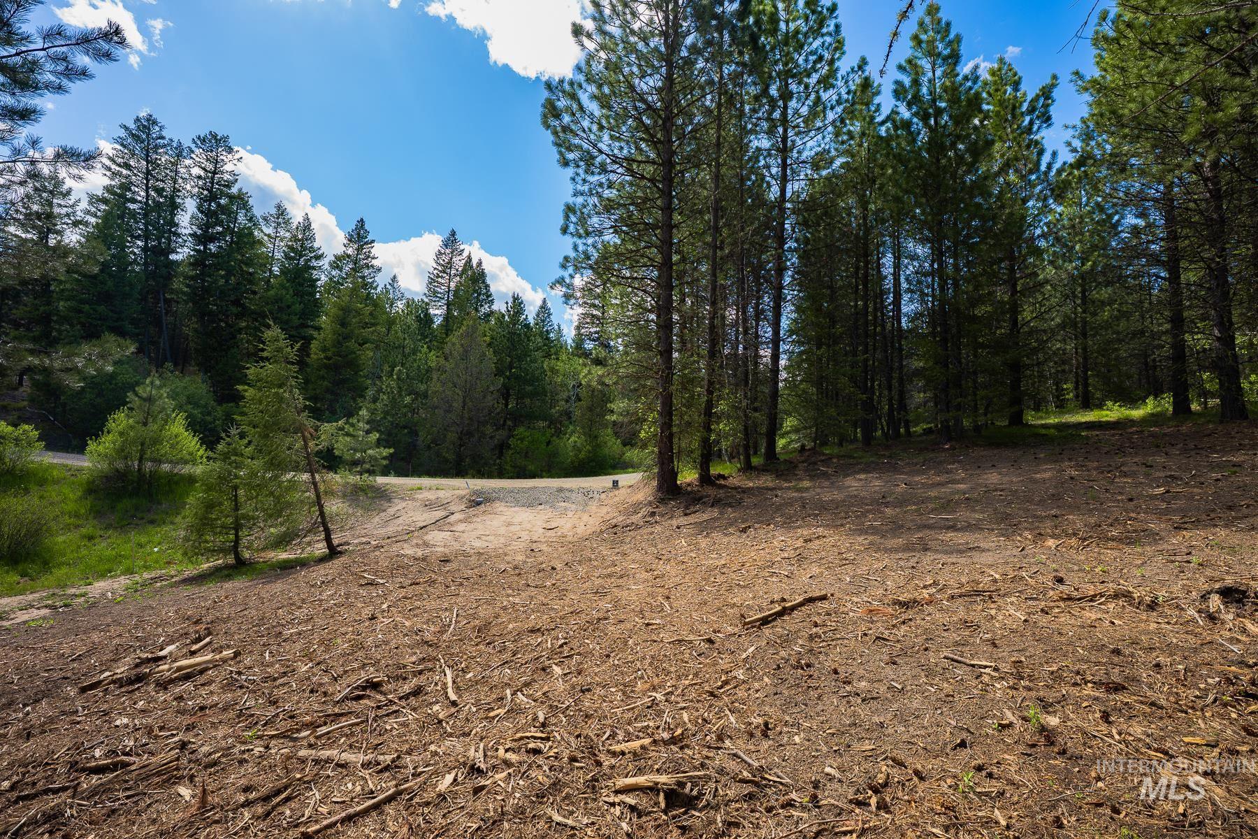 Lot 51 Price Loop, Cascade, Idaho 83611, Land For Sale, Price $165,000, 98991775