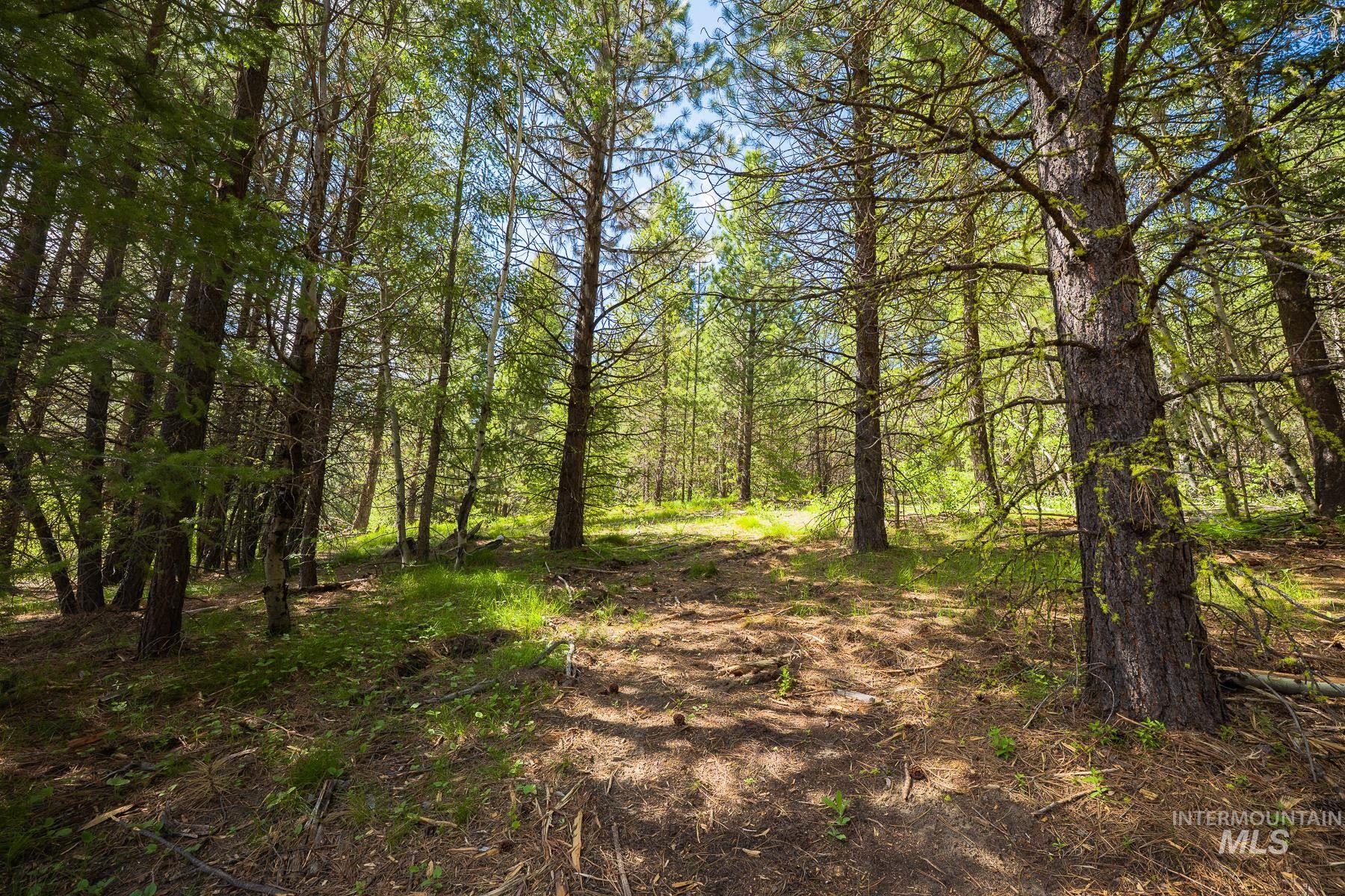 Lot 51 Price Loop, Cascade, Idaho 83611, Land For Sale, Price $165,000, 98991775