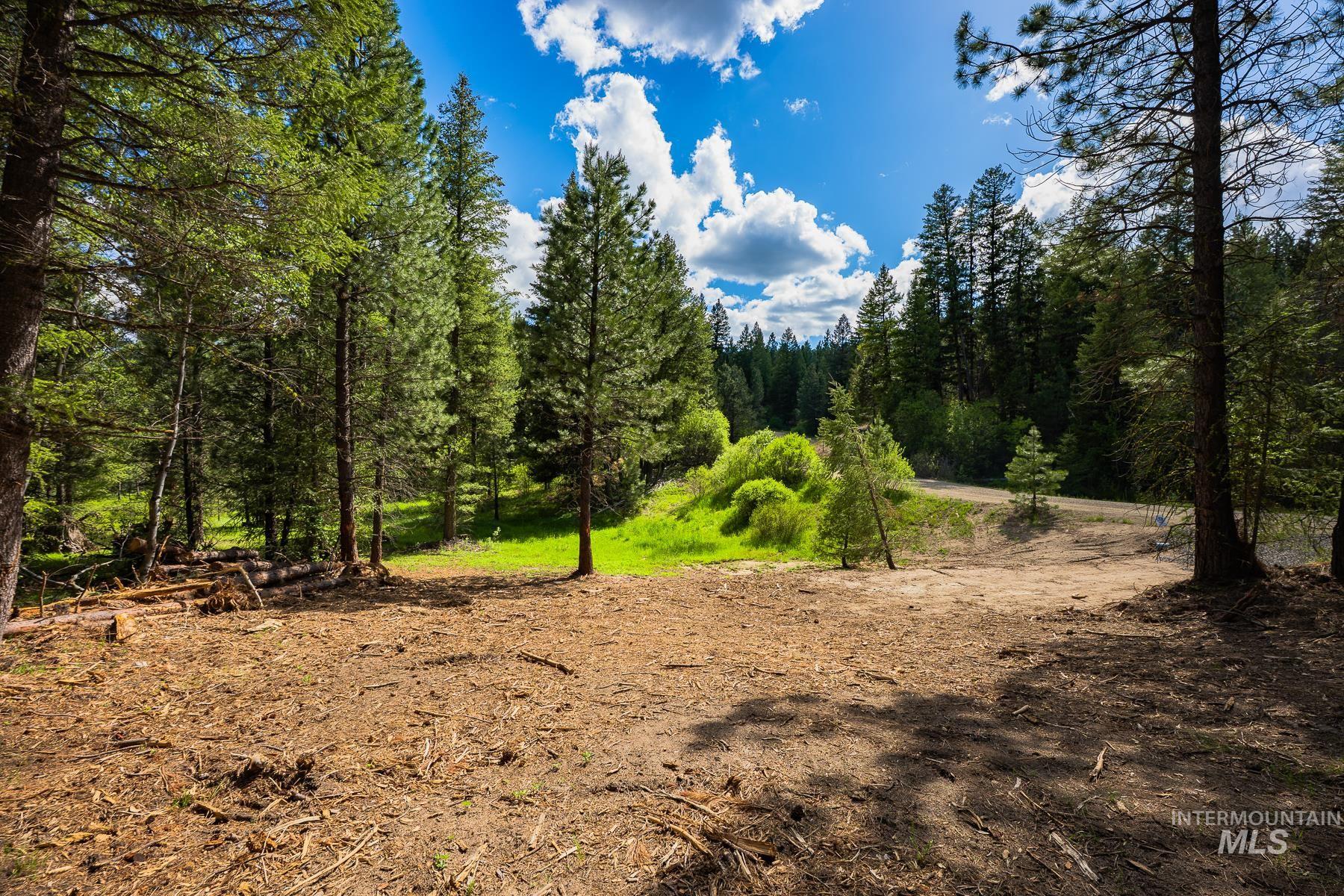 Lot 51 Price Loop, Cascade, Idaho 83611, Land For Sale, Price $165,000, 98991775