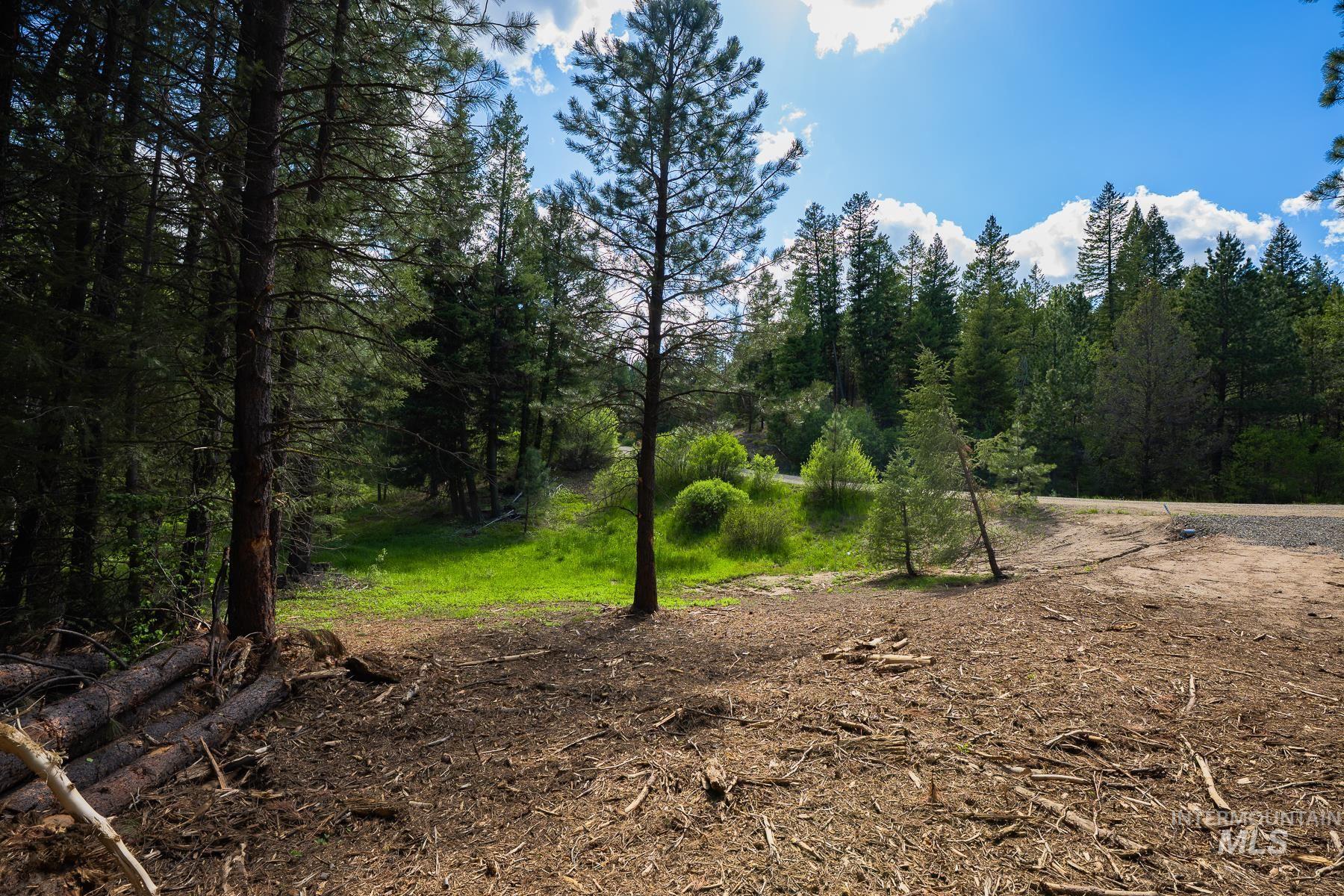 Lot 51 Price Loop, Cascade, Idaho 83611, Land For Sale, Price $165,000, 98991775
