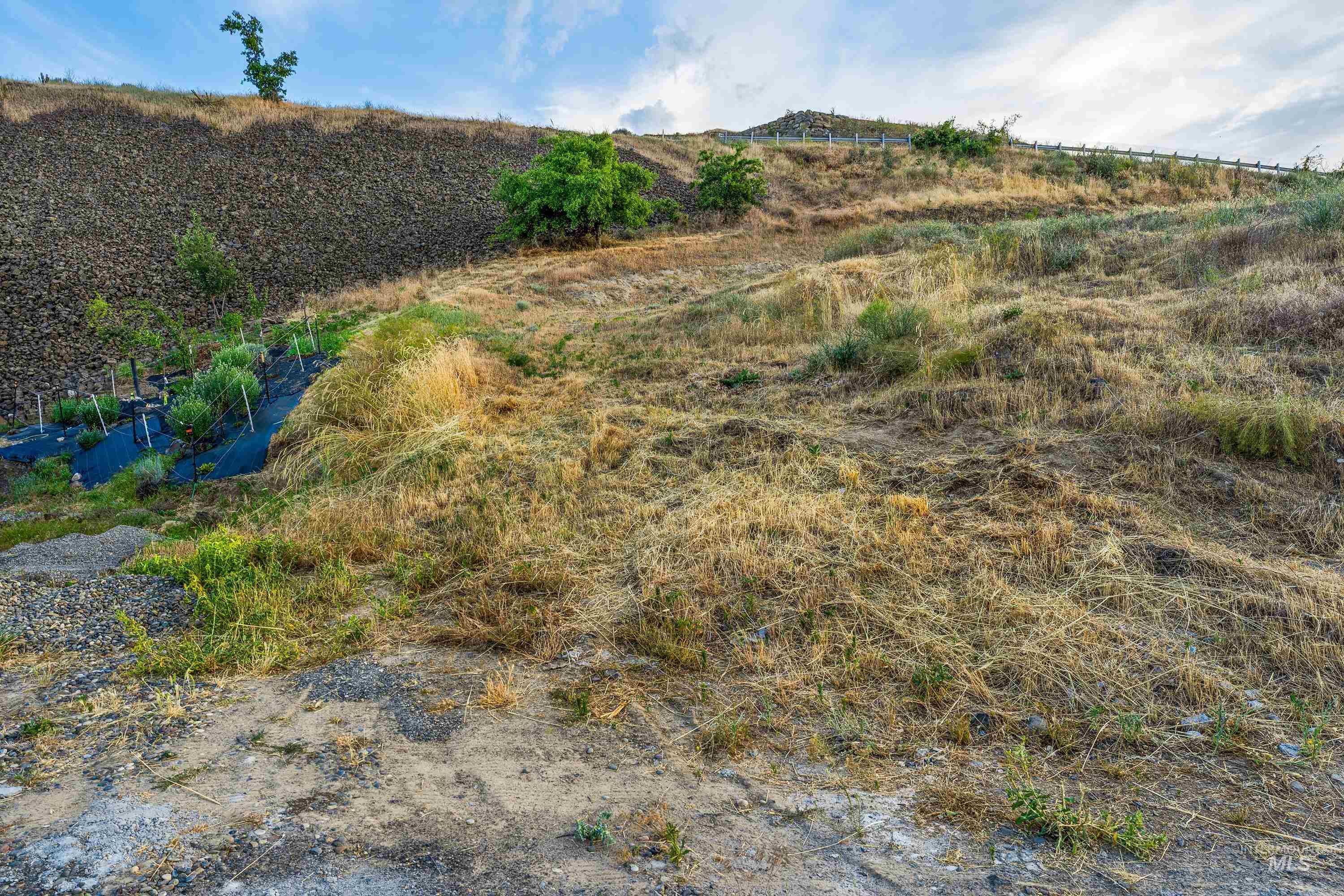 1484 River Ridge Dr, Asotin, Washington 99402, Land For Sale, Price $180,000,MLS 98991844