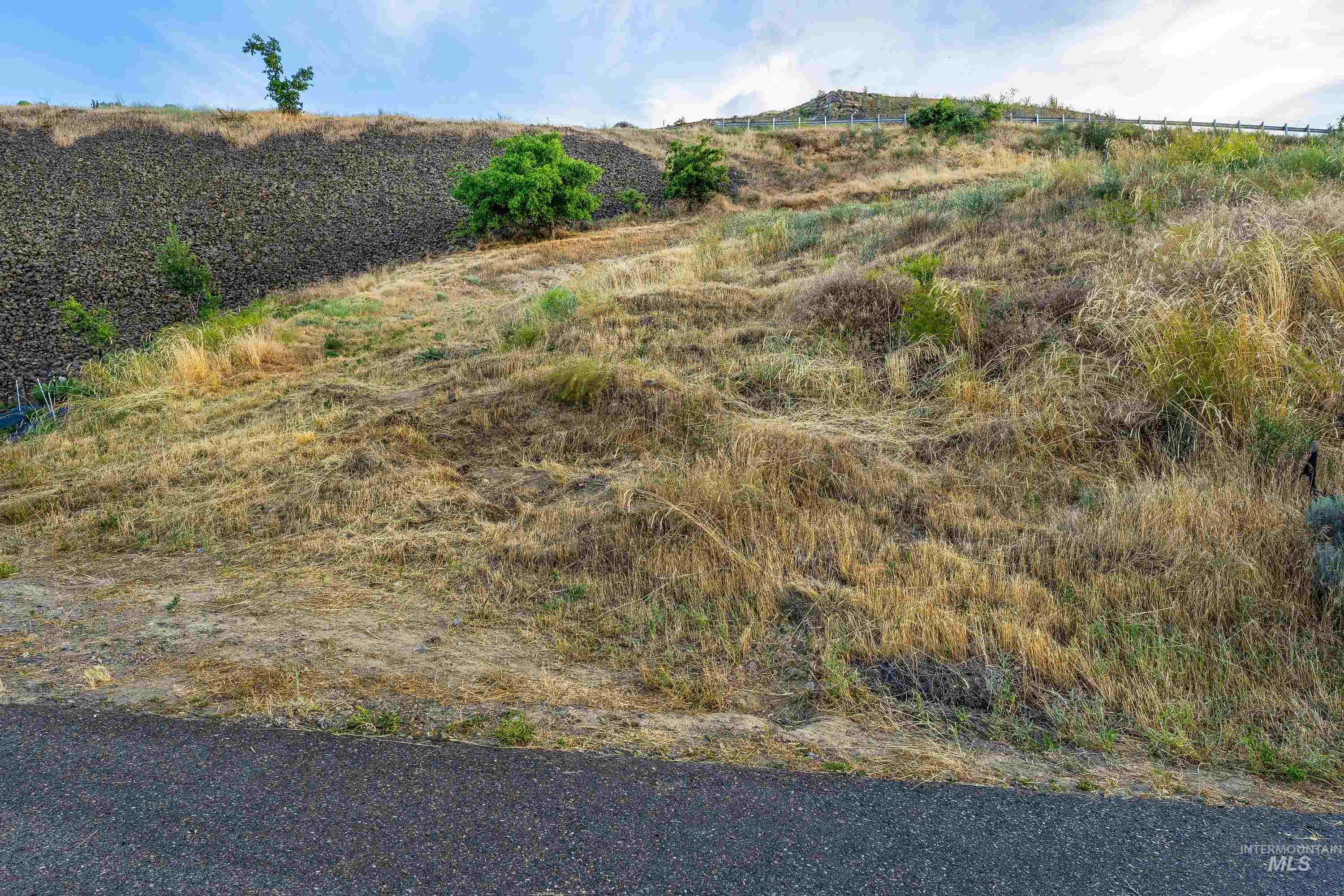 1484 River Ridge Dr, Asotin, Washington 99402, Land For Sale, Price $180,000,MLS 98991844
