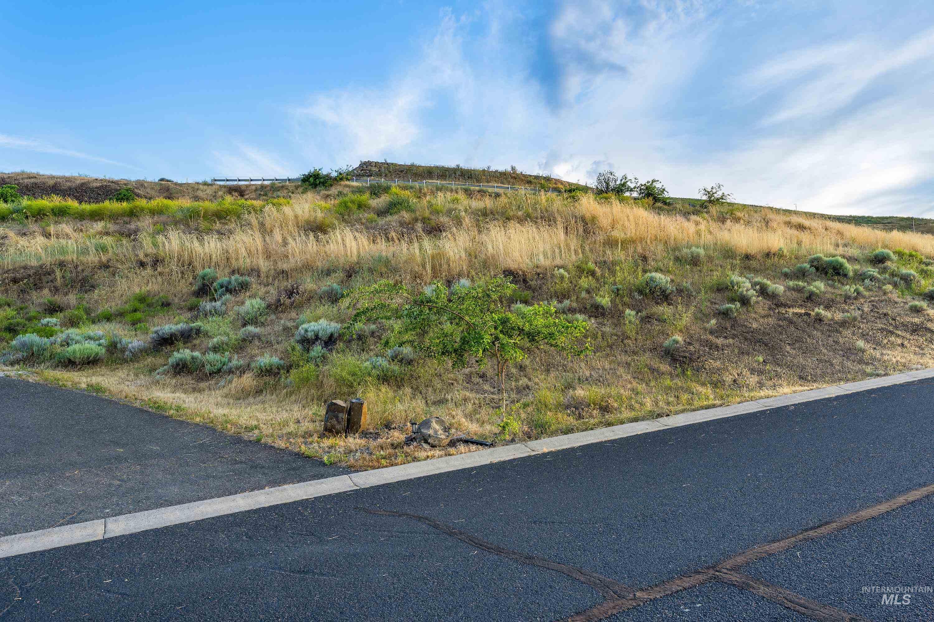 1484 River Ridge Dr, Asotin, Washington 99402, Land For Sale, Price $180,000,MLS 98991844