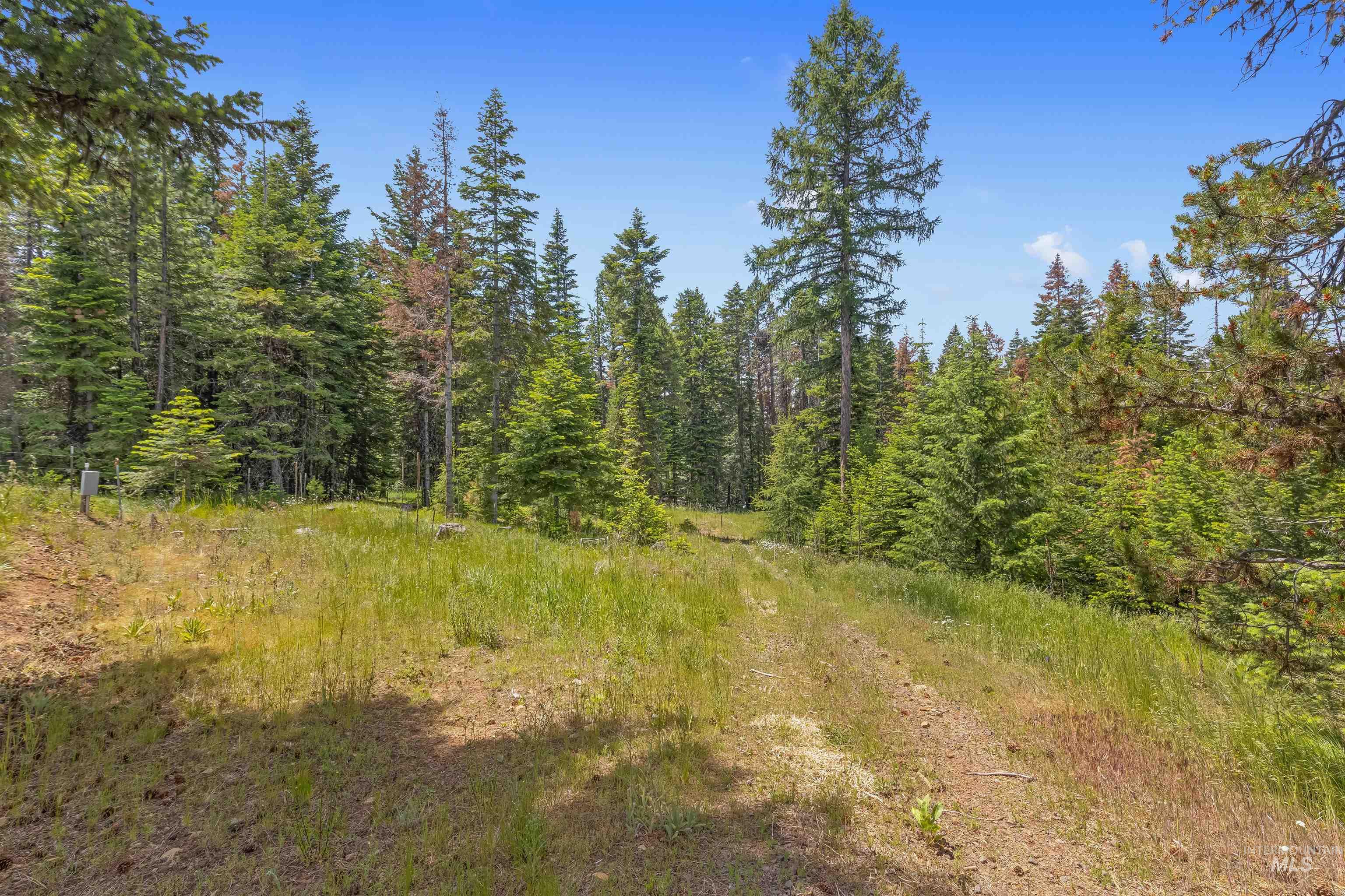43874 Yellow Pine Avenue, Winchester, Idaho 83555, 3 Bedrooms, 1.5 Bathrooms, Residential For Sale, Price $525,000,MLS 98991857