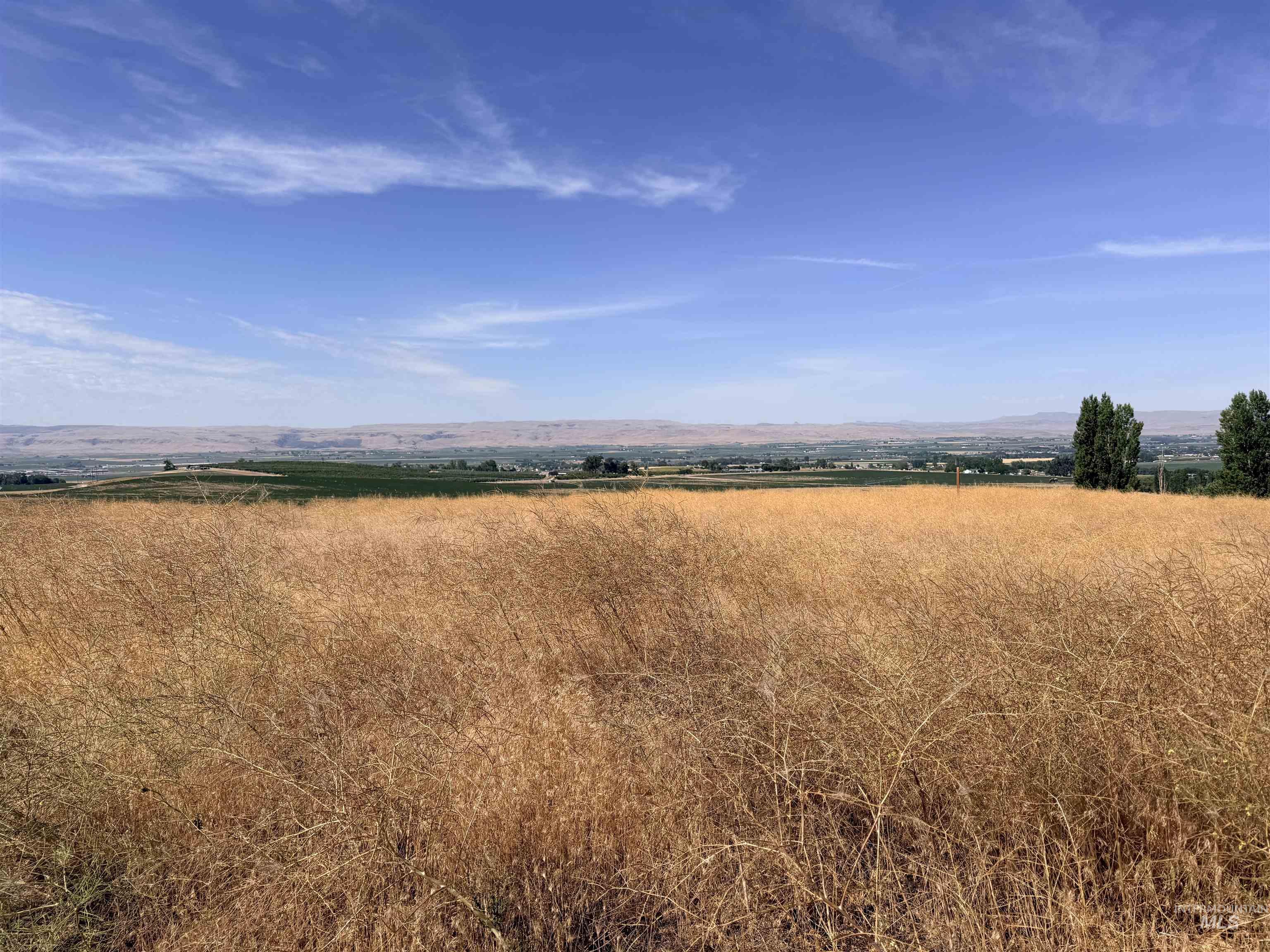 TBD Homedale Rd, Caldwell, Idaho 83676, Land For Sale, Price $345,000,MLS 98991926
