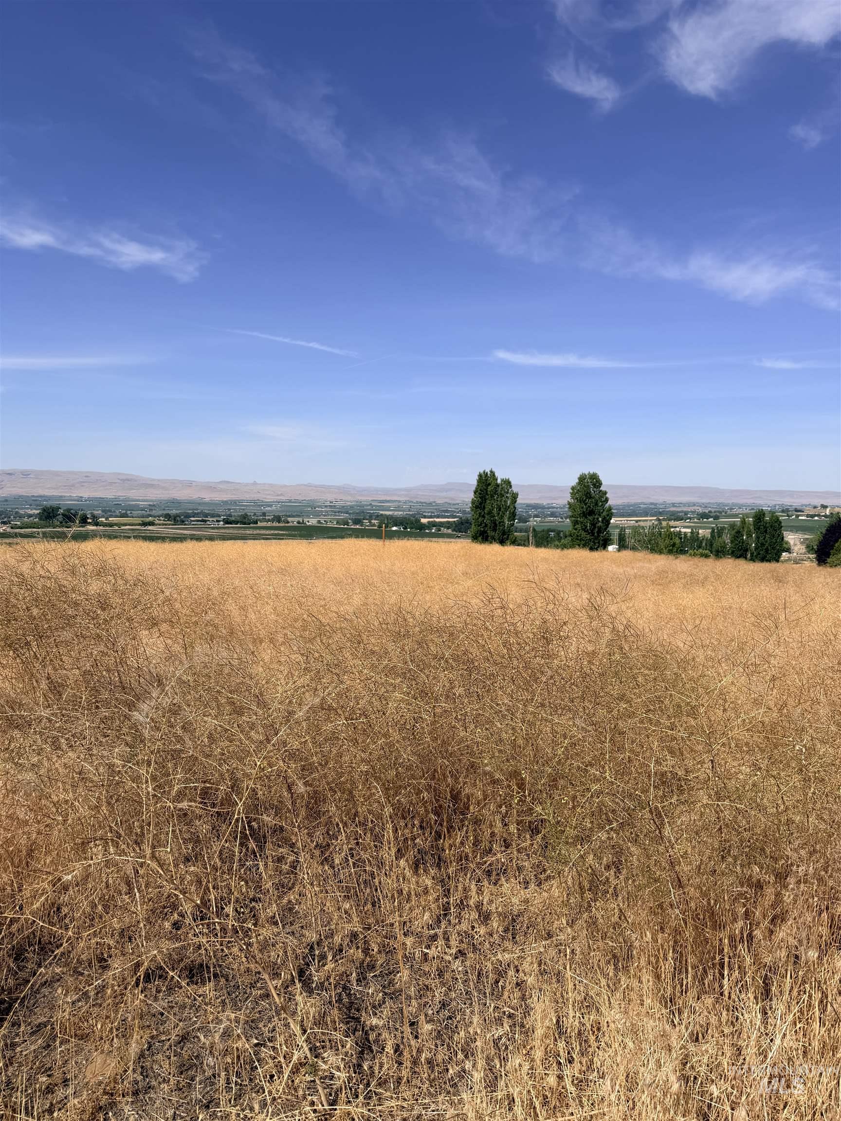 TBD Homedale Rd, Caldwell, Idaho 83676, Land For Sale, Price $345,000,MLS 98991926